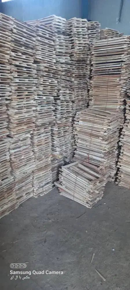 دری سبدی|خدمات باغبانی و درختکاری|دزفول, |دیوار