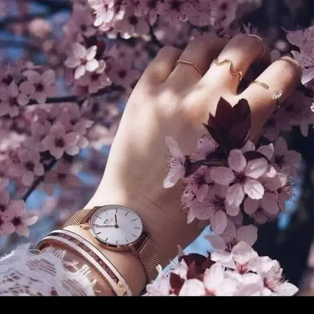 طلا|اشیا|دورود, |دیوار