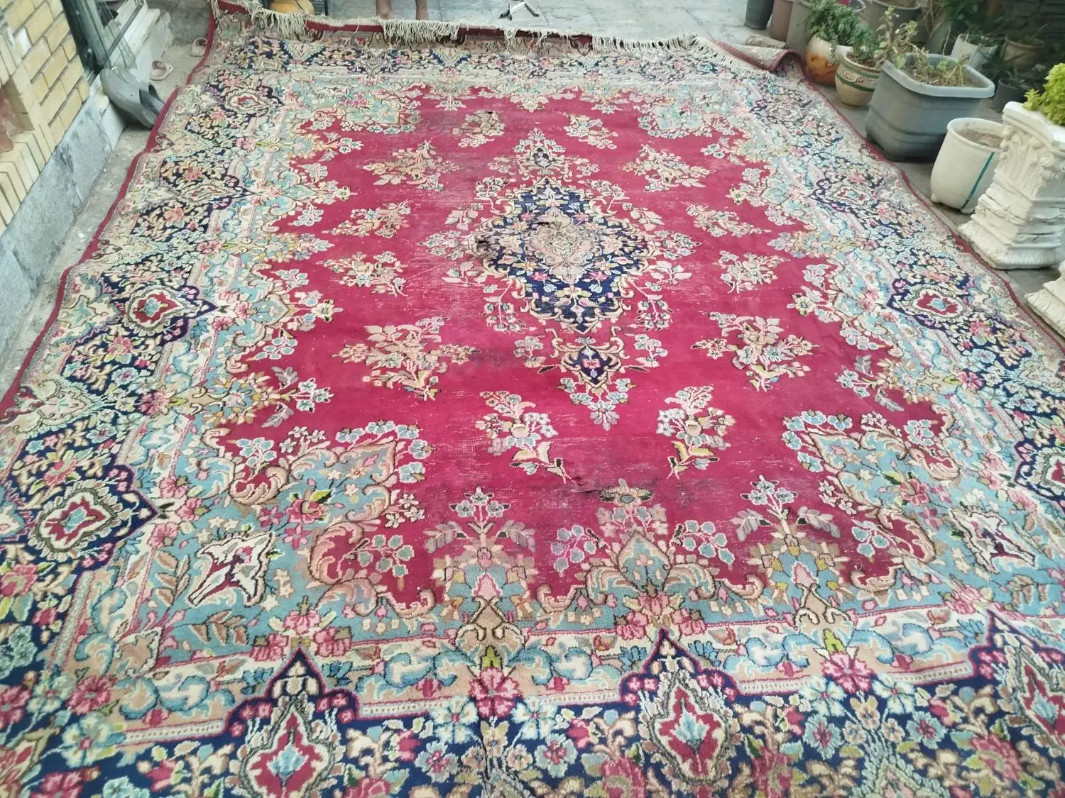 قالی کرمانی عالی|فرش|کرمان, |دیوار