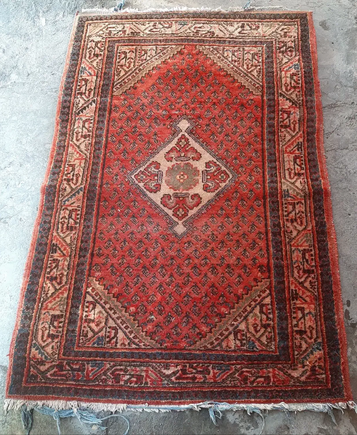 فرش دستباف|فرش|دزفول, |دیوار