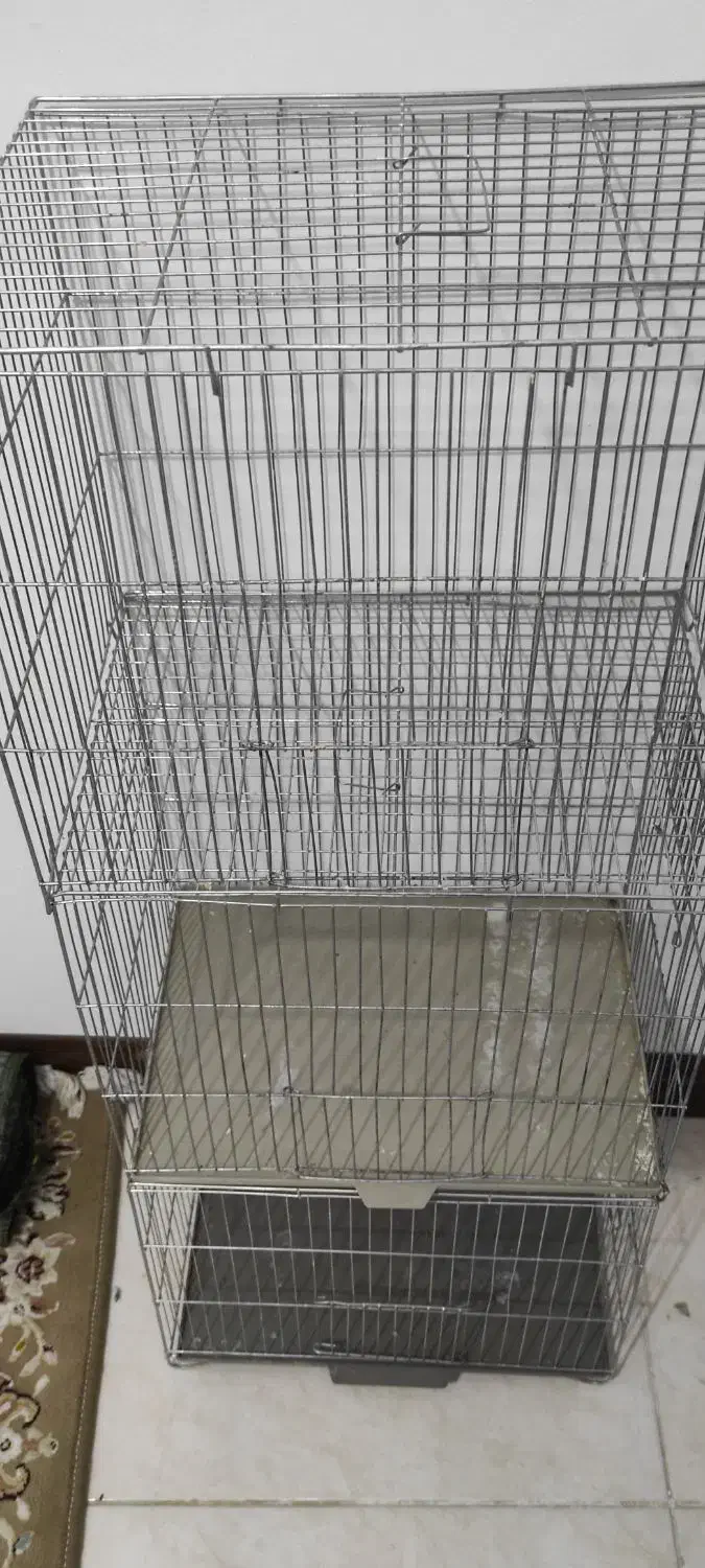 لوازم پرنده|لوازم جانبی حیوانات|اسلامشهر, شهرک قائمیه|دیوار