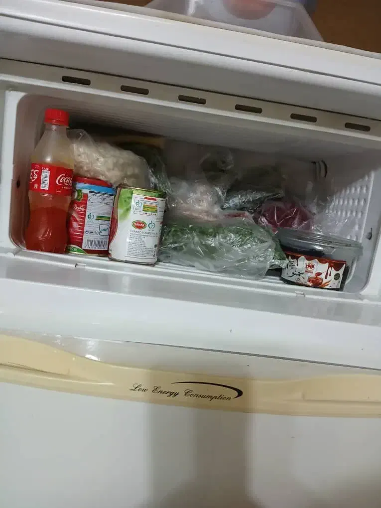 یخچال جنرال استیل|یخچال و فریزر|رشت, دیانتی|دیوار