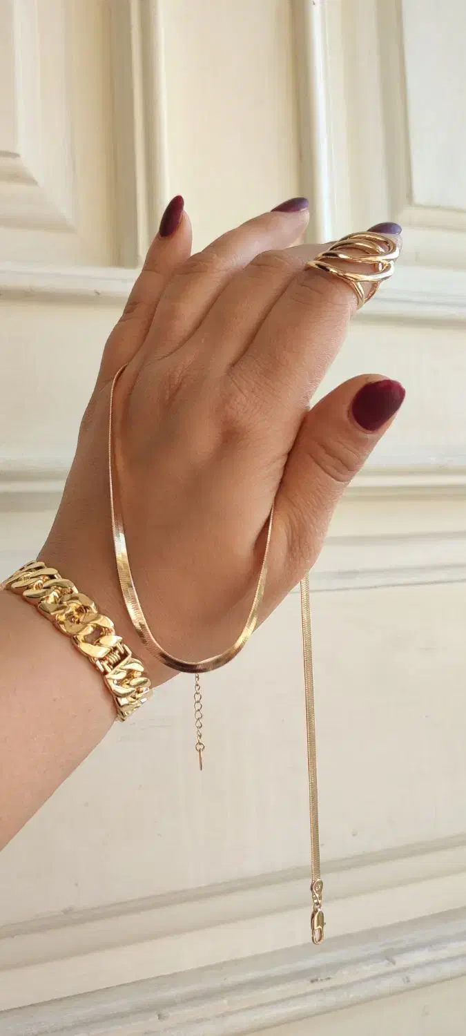 زنجیر نفرتی پهن|بدلیجات|بندر انزلی, ساحل قو|دیوار