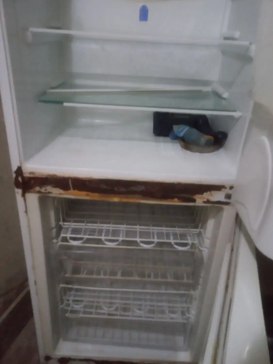 یخجال۲۲ فوت سوزان|یخچال و فریزر|سهند, |دیوار