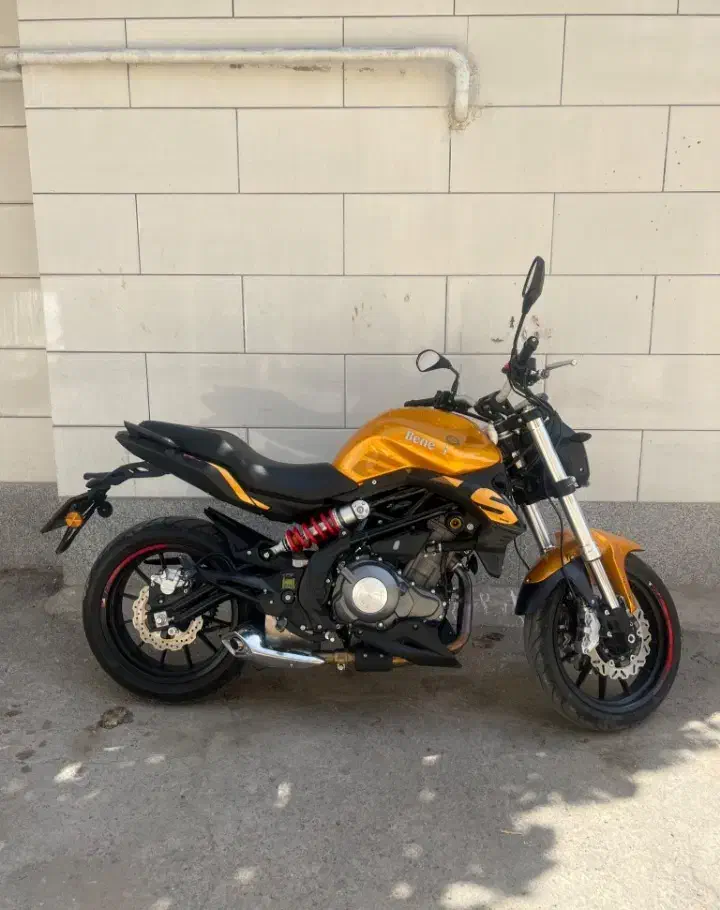 بنلی 401|موتورسیکلت|نیشابور, بلوار گلها|دیوار