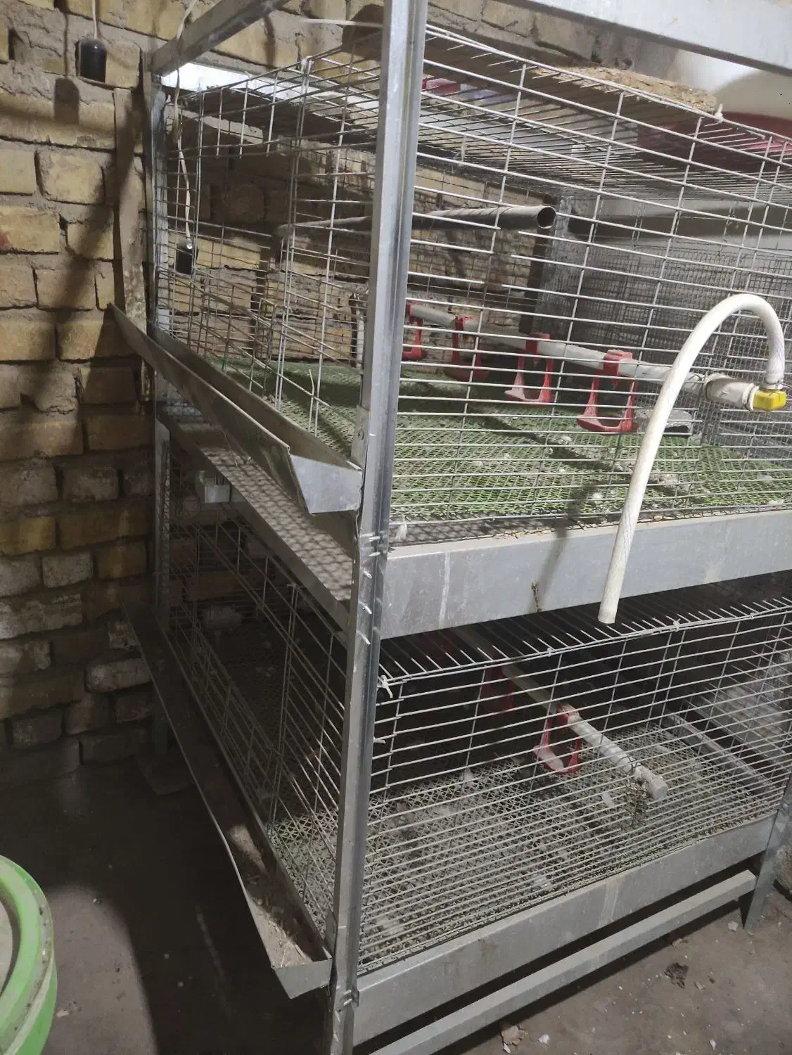 قفس جوجه مرغ و بلدرچین|لوازم جانبی حیوانات|الیگودرز, |دیوار