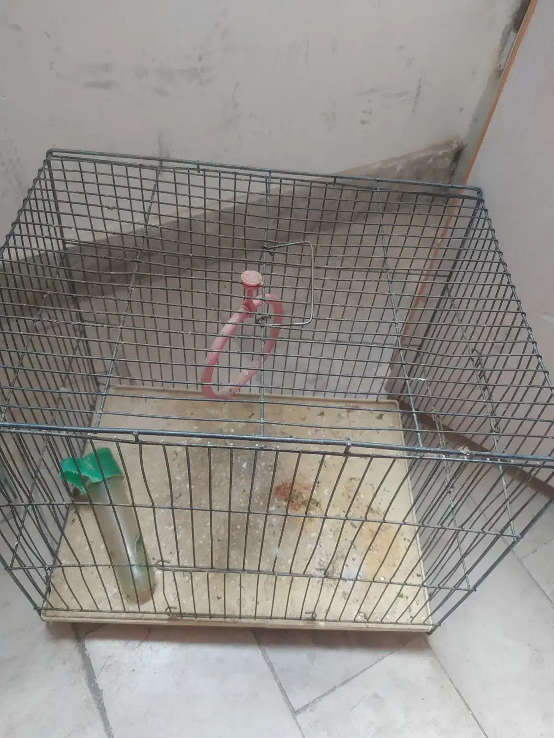 دوعدد قفس پرنده سالم|لوازم جانبی حیوانات|سهند, |دیوار