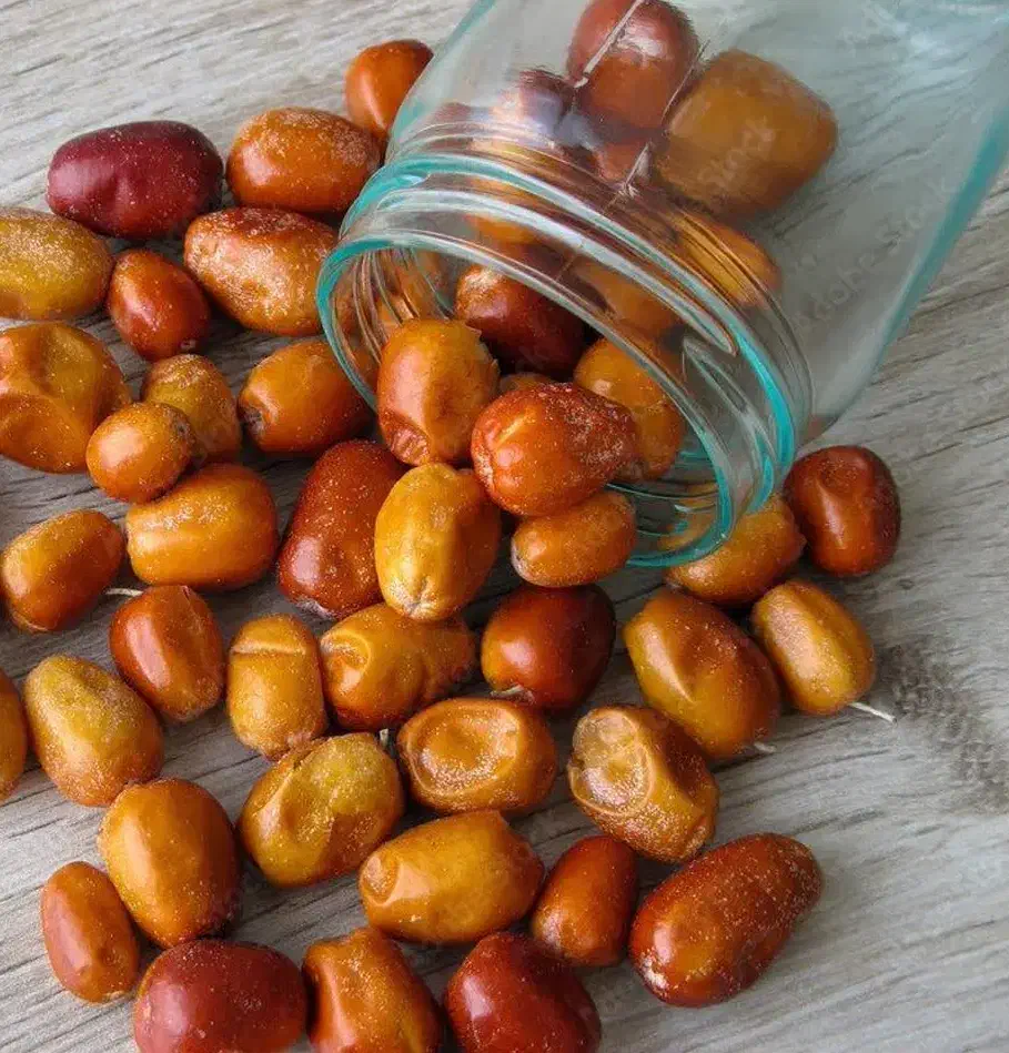 پیش فروش نهال سنجد قزل|خدمات باغبانی و درختکاری|اسفیچ, |دیوار