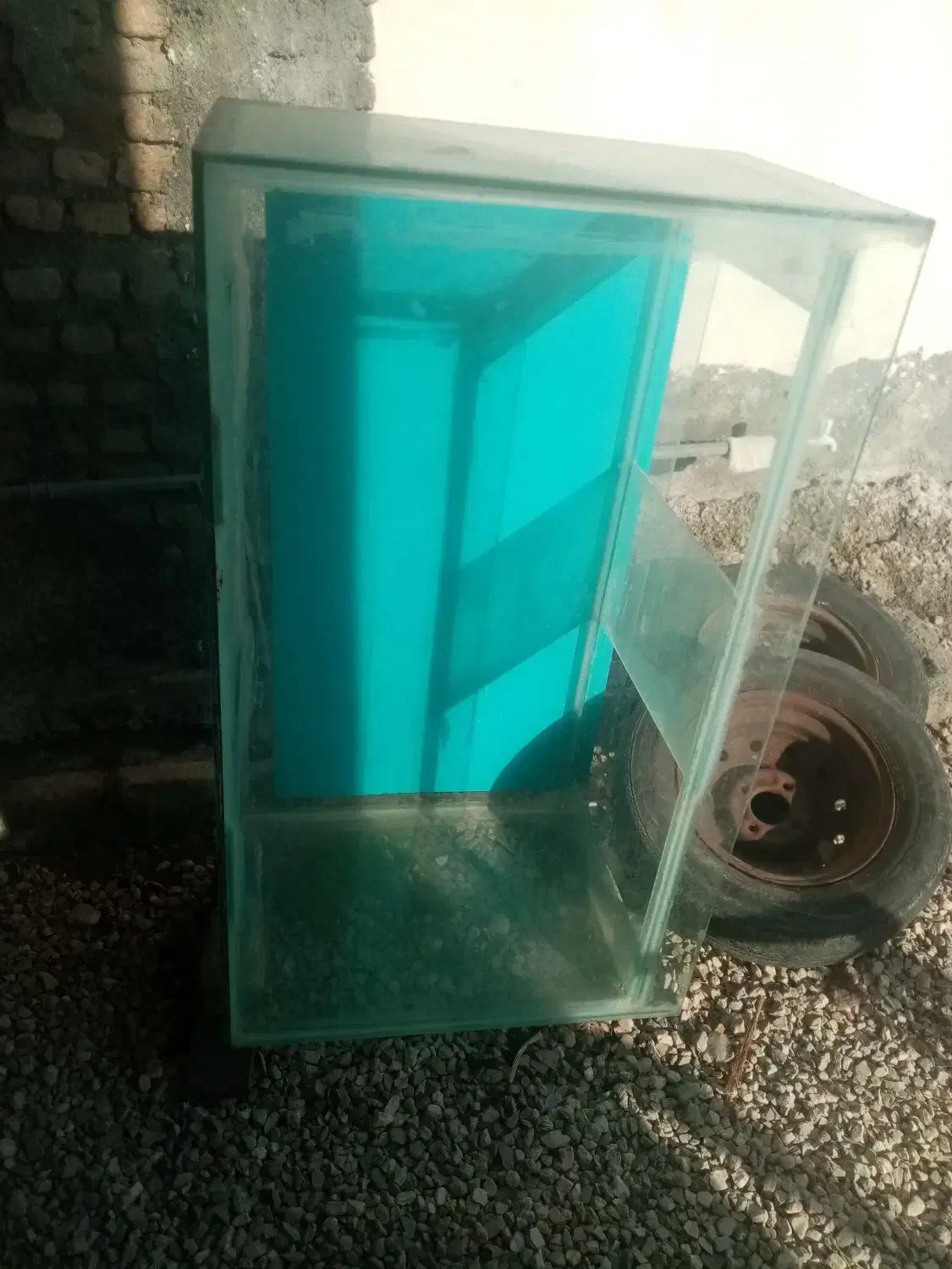 آکواریوم|ماهی|گرگان, |دیوار