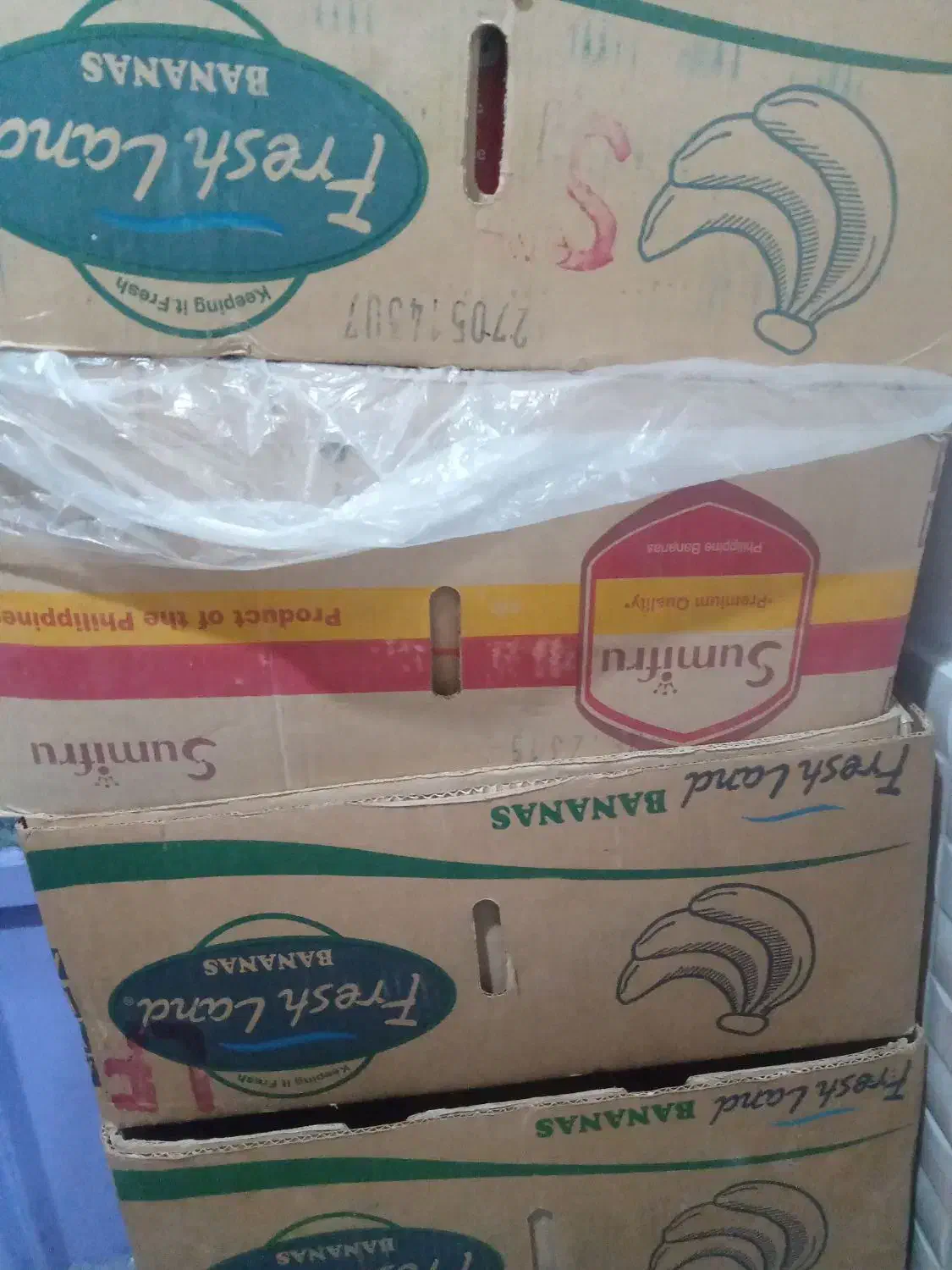 کارتن موزی سایز بزرگ|ابزارآلات|خرم‌آباد, |دیوار