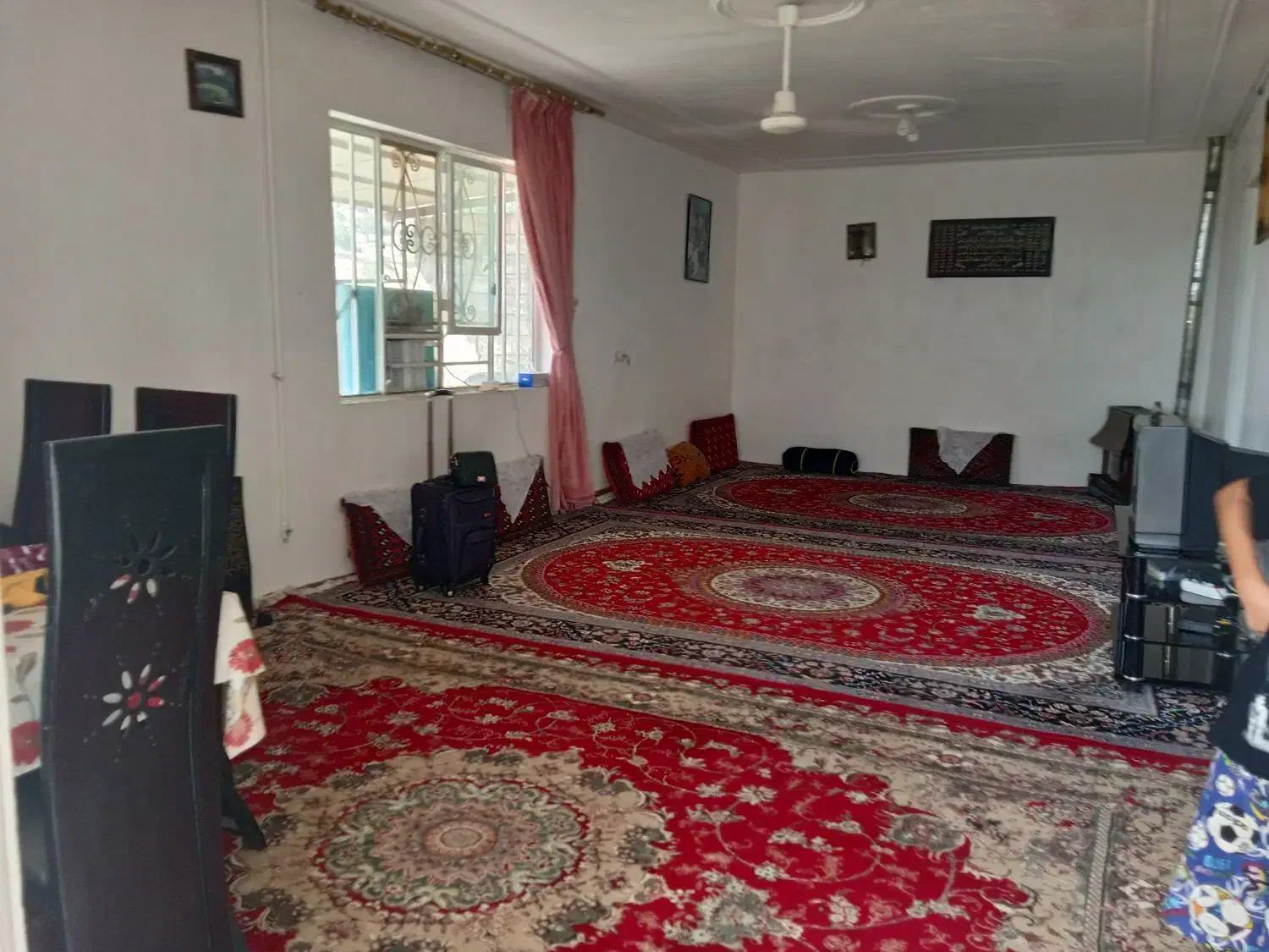 دو عدد فرش ۷۰۰ شانه ۱ و یکی ۵۰۰ شانه هرسه ۱۲ متری|فرش|شهرکرد, |دیوار