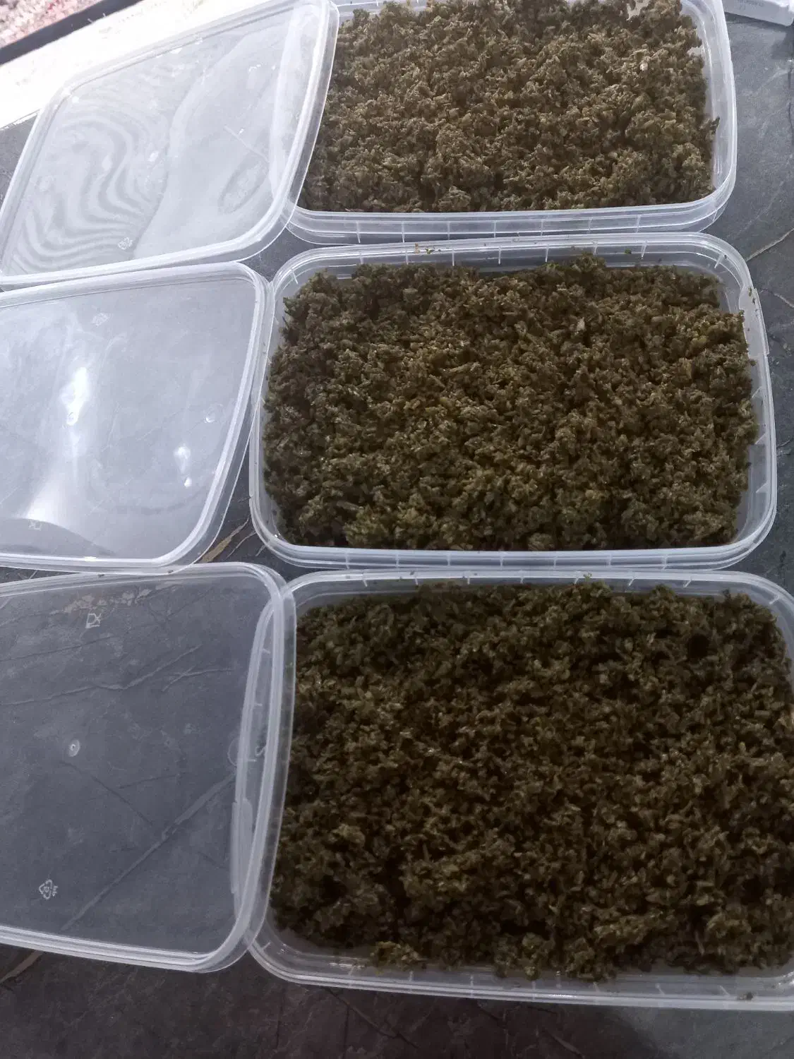 سلام|مجسمه، تندیس، ماکت|مشهد, کوشش|دیوار