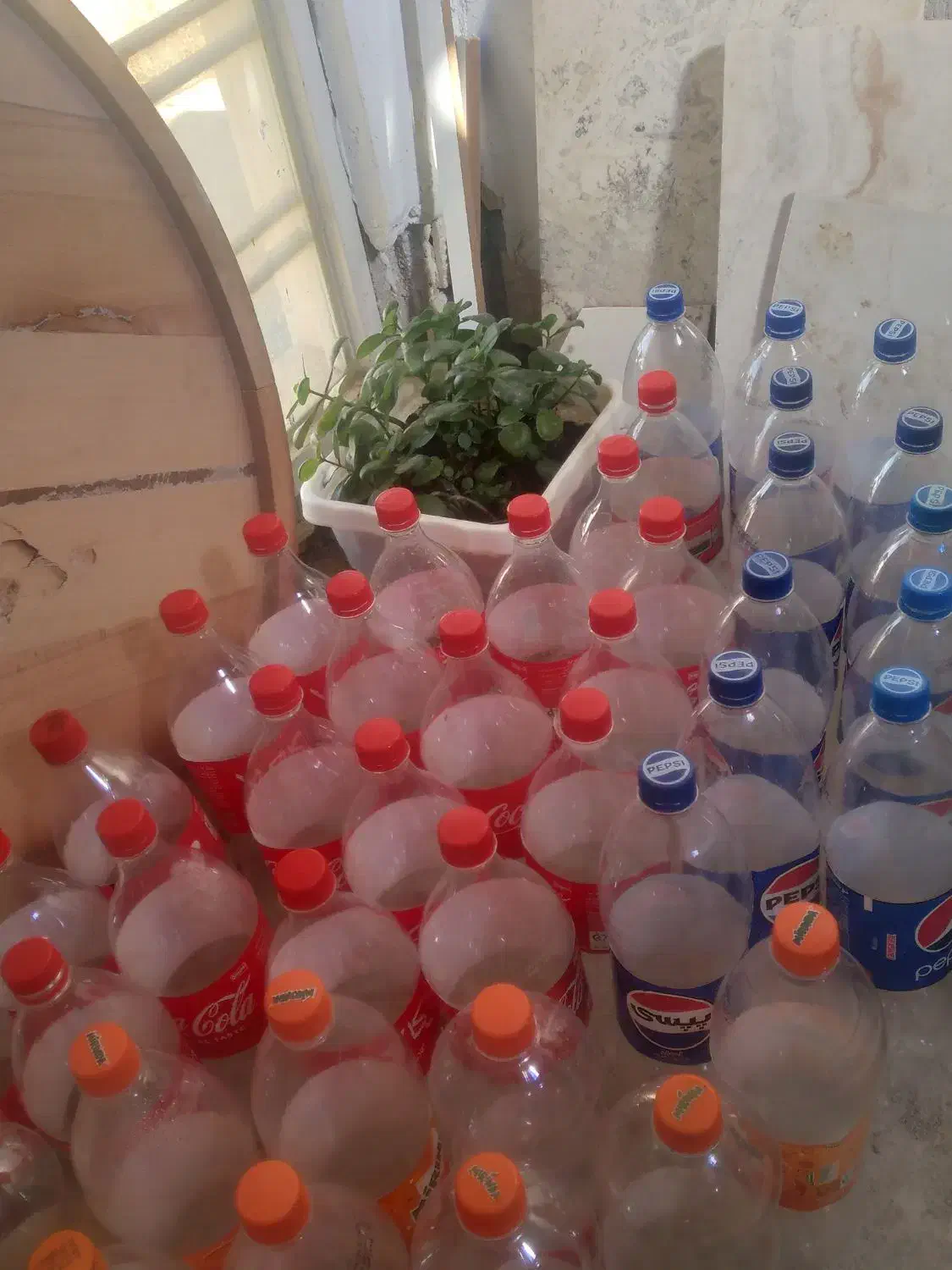 جانوشابه|حراج|یاسوج, |دیوار