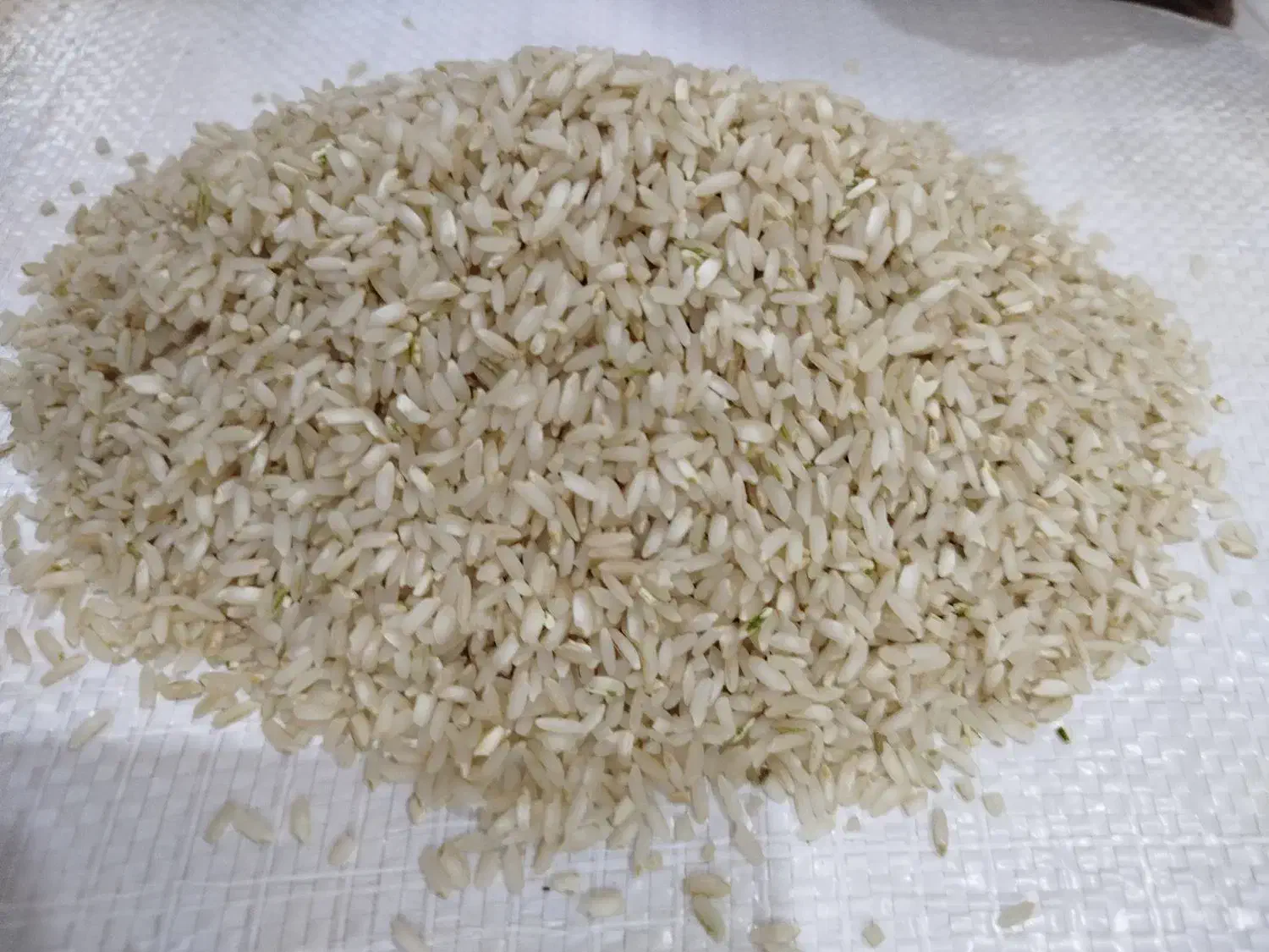 فروش برنج تازه چمپا دانه درشت وسنگین و خوش عطر|خوردنی و آشامیدنی|لردگان, |دیوار
