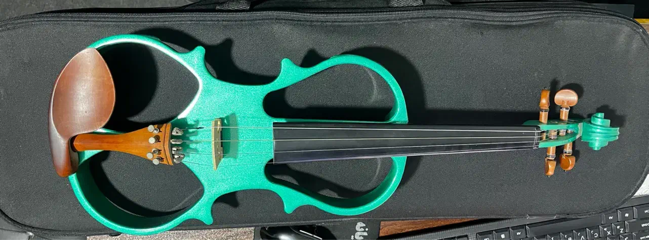 ویولن الکتریک|ویولن|گرگان, |دیوار