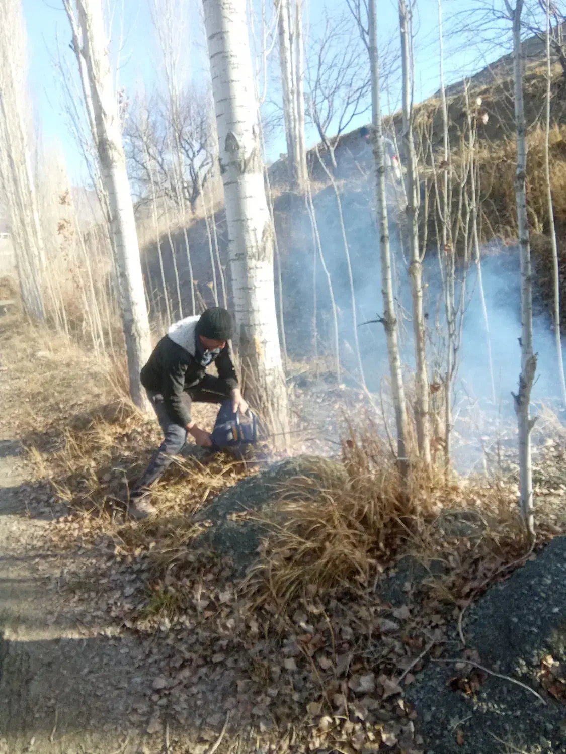 خدماتی|خدمات باغبانی و درختکاری|ارومیه, |دیوار