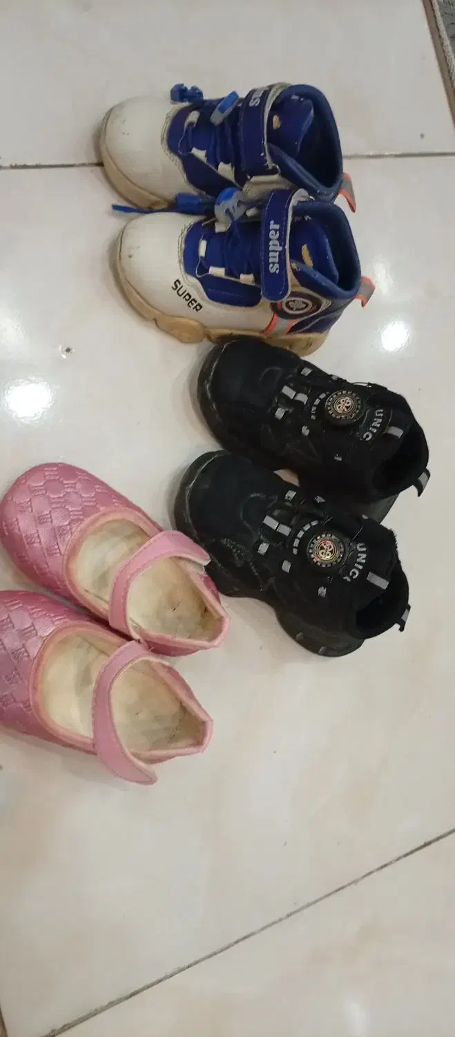 کفش|کیف، کفش، کمربند|مشهد, طبرسی شمالی|دیوار