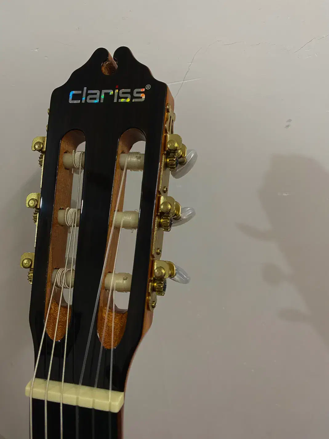 گیتار کلاریس پیکبدار کاتوی مخصوص اجرای زنده|گیتار، بیس، امپلیفایر|گنبد کاووس, |دیوار