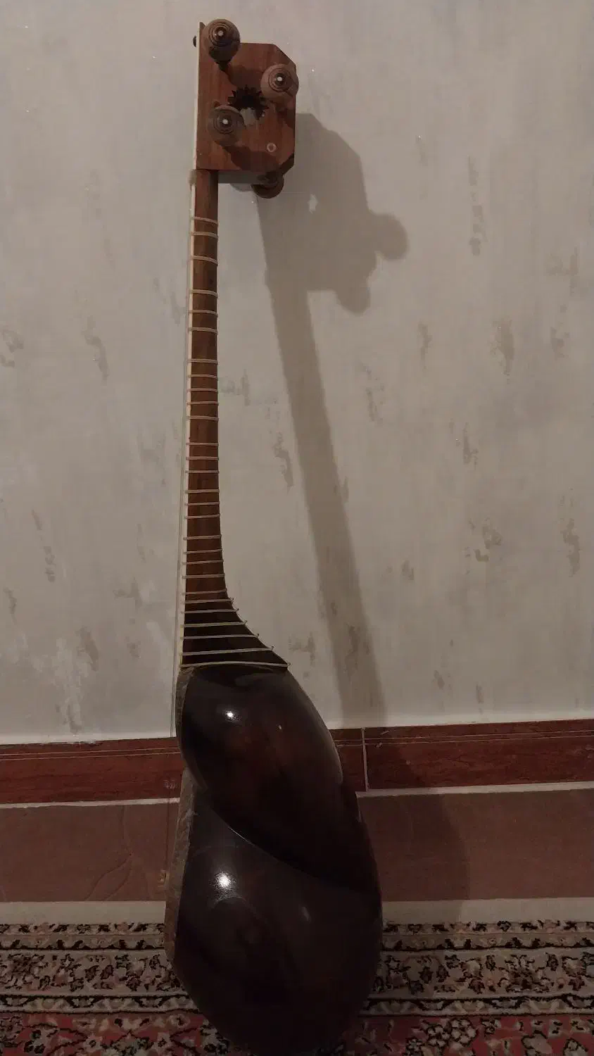 تار|سازهای سنتی|محمدیه-قزوین, |دیوار