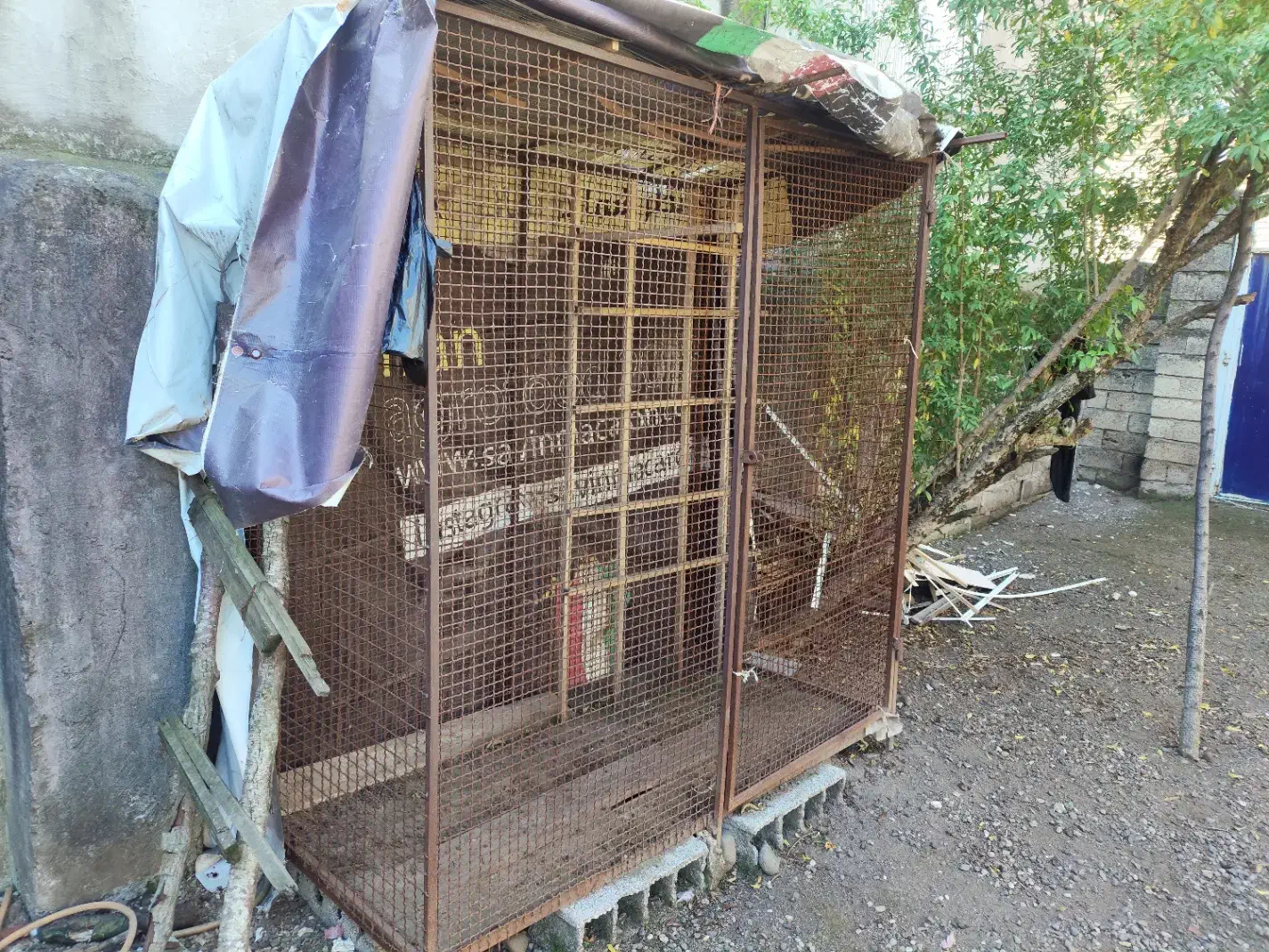 قفس آهنی|لوازم جانبی حیوانات|املش, |دیوار