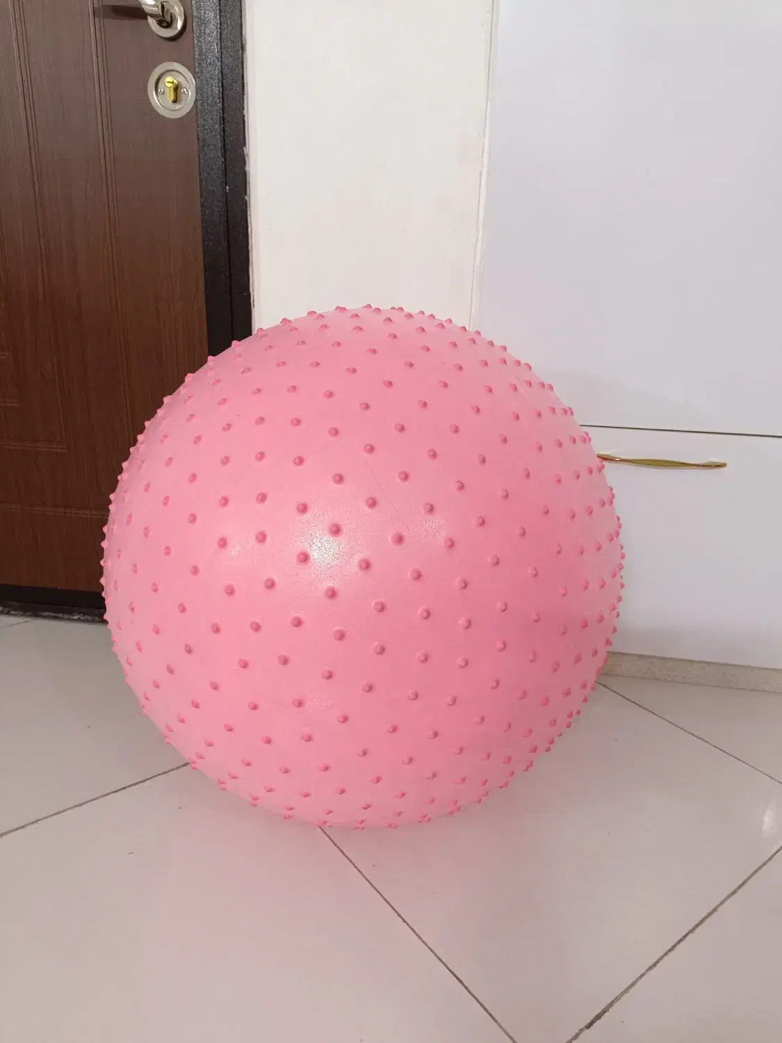 توپ پیلاتس|ورزش‌های توپی|بیرجند, |دیوار