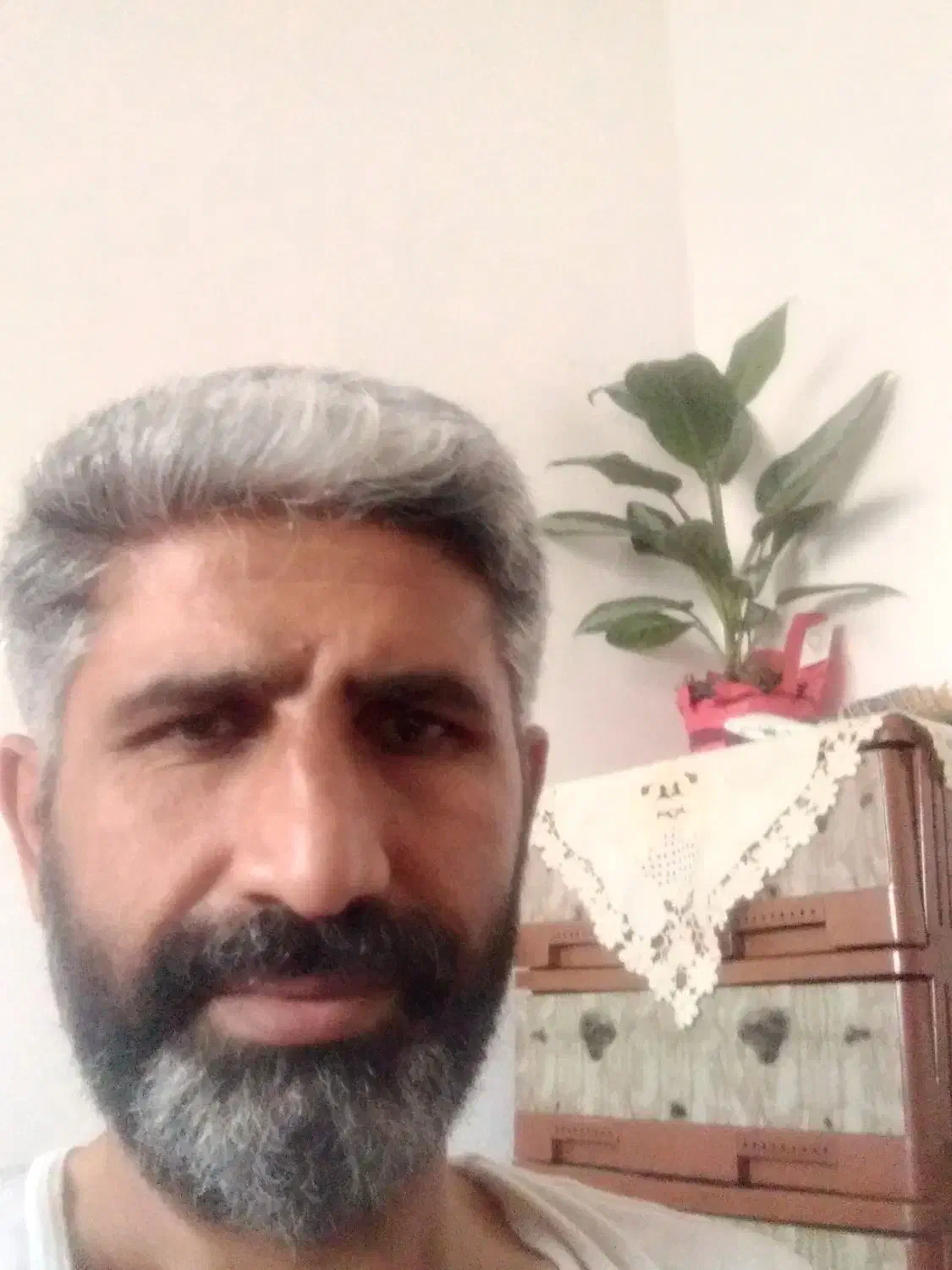 بناءساختمان|خدمات پیشه و مهارت|فریدونکنار, |دیوار