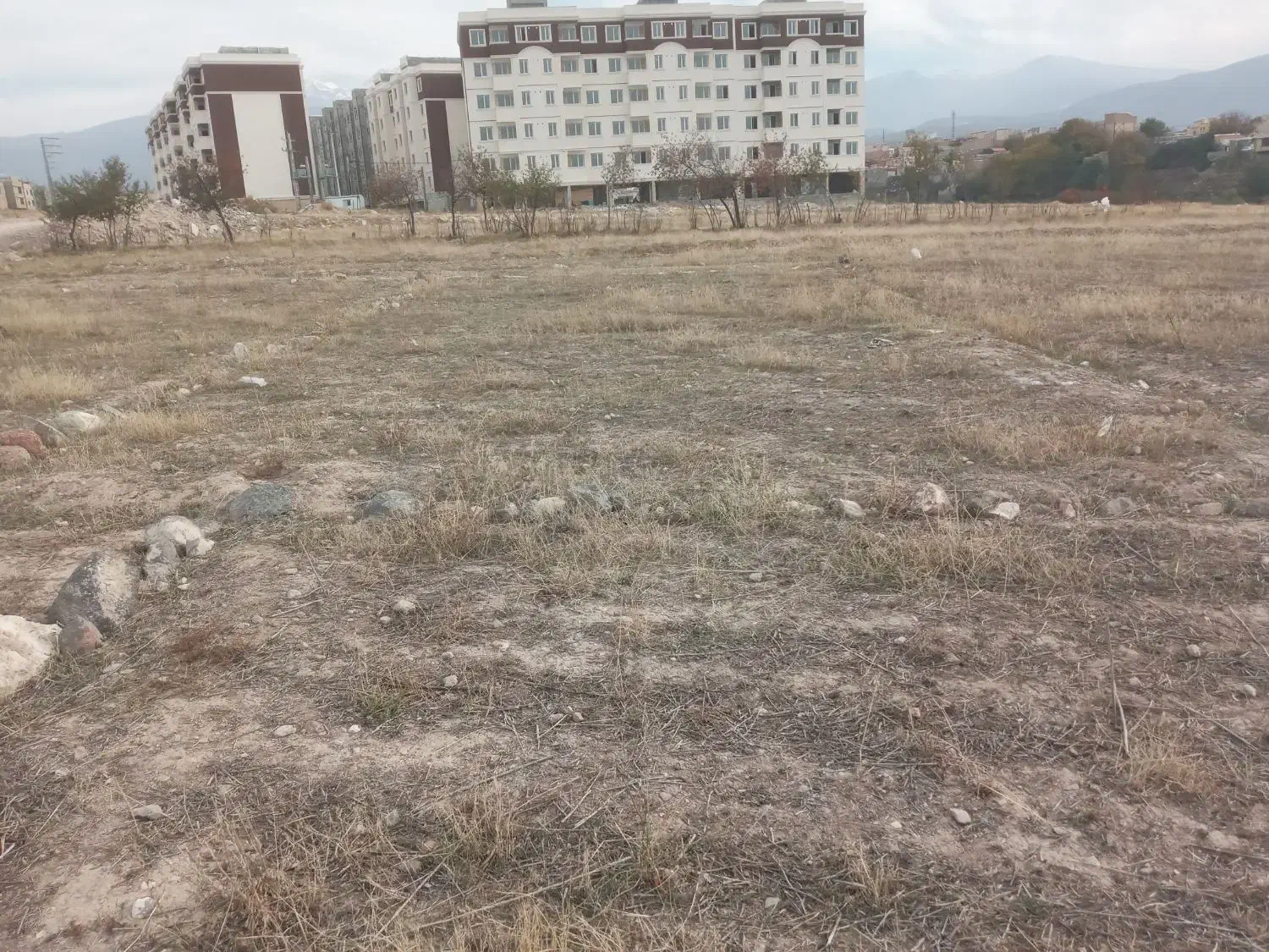 فروش زمین ۴۷۰ متری|فروش زمین و ملک کلنگی|مشگین شهر, |دیوار