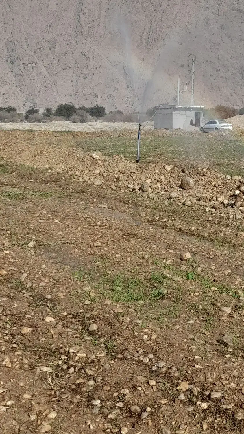 فروش زمین کشاورزی ابی|فروش زمین و ملک کلنگی|دوگنبدان, |دیوار