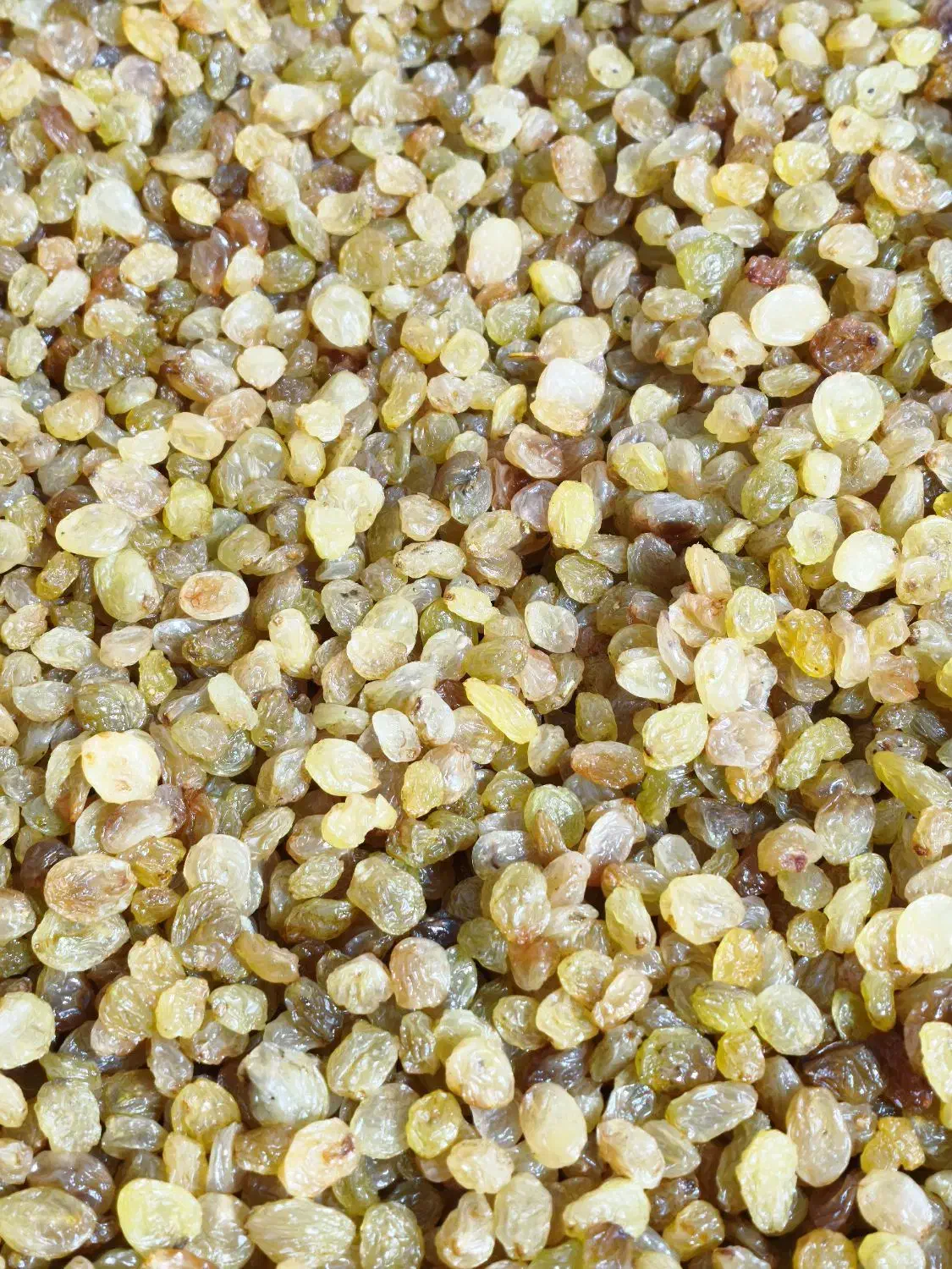 کشمش خوراکی (آبگیری )|خوردنی و آشامیدنی|شهریار, شهریار|دیوار