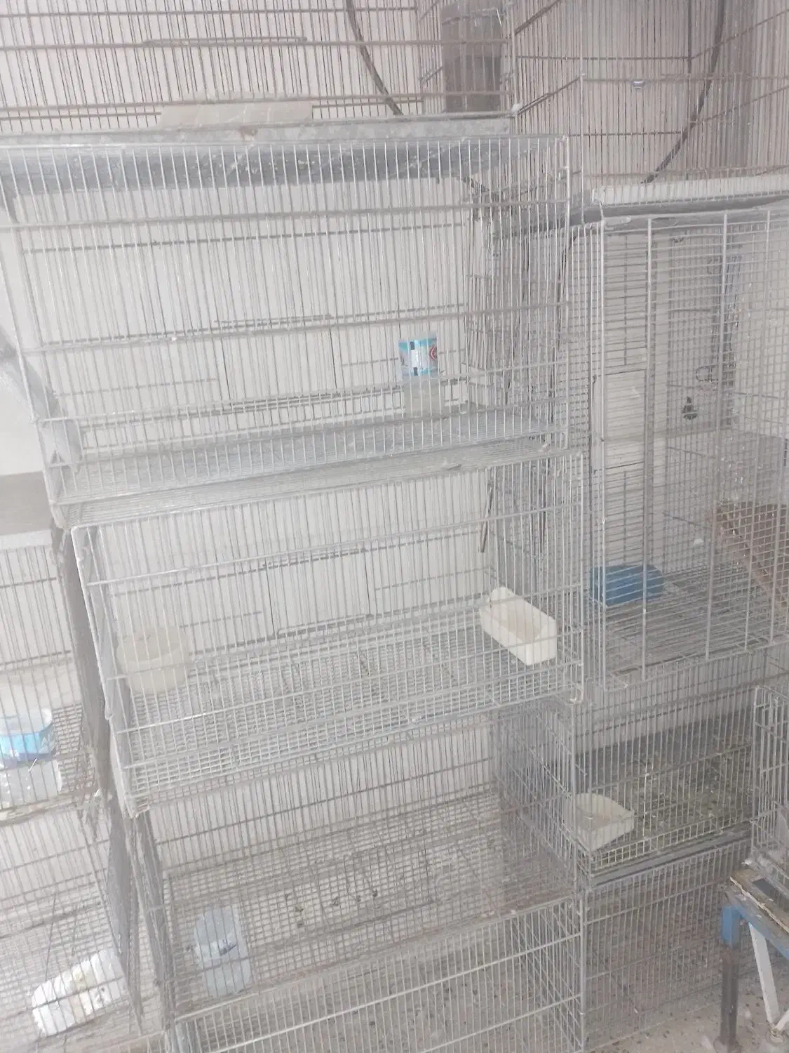 قفس غلامی جوجه پران ۱۵عدد|لوازم جانبی حیوانات|قرچک, میرزائی جنوبی|دیوار