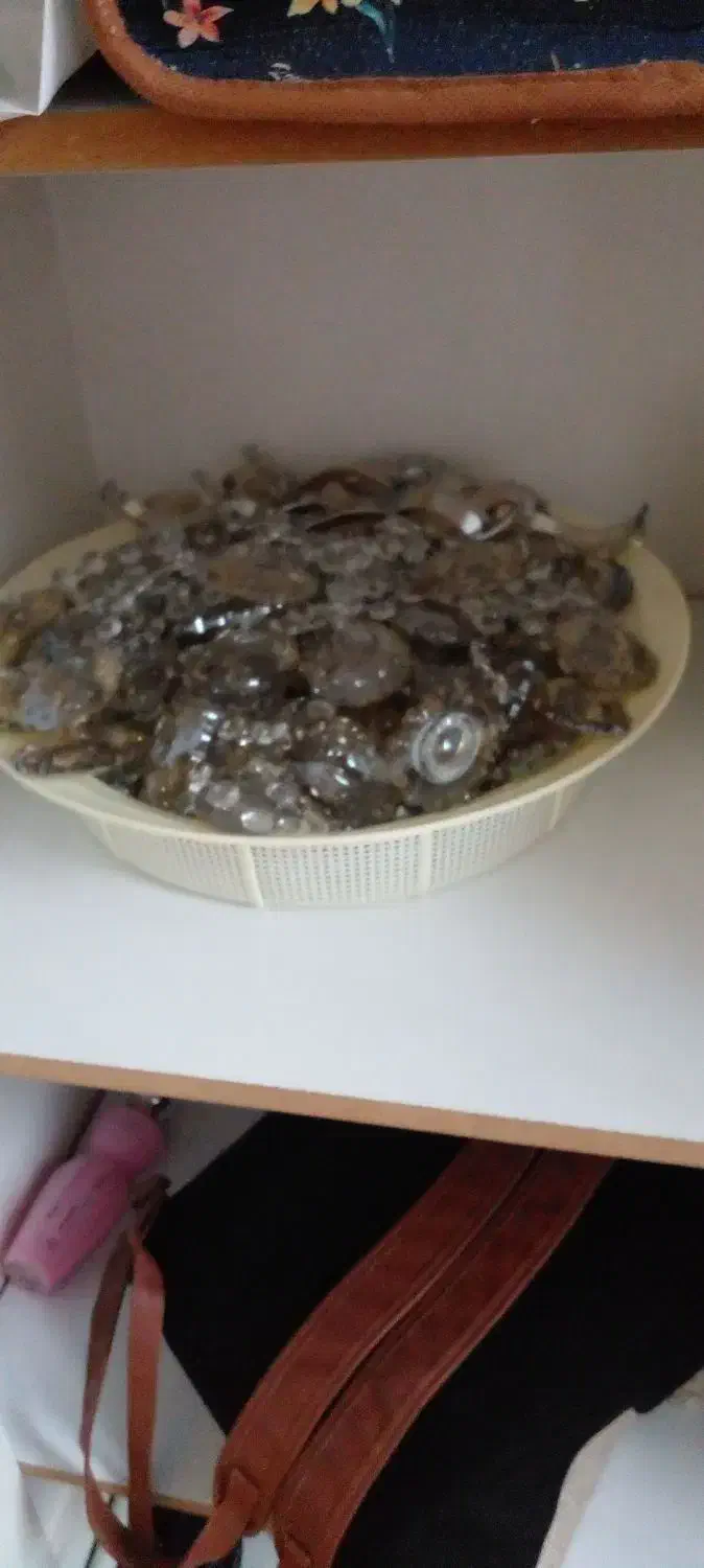 کریستال لوستر|لوستر و چراغ آویز|اردبیل, |دیوار