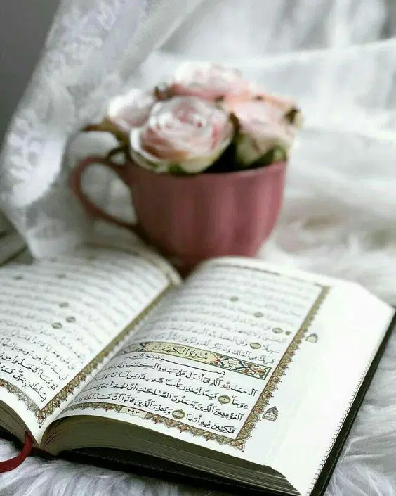 سرکتاب|کتاب و مجله مذهبی|نیشابور, شهرک ولیعصر|دیوار