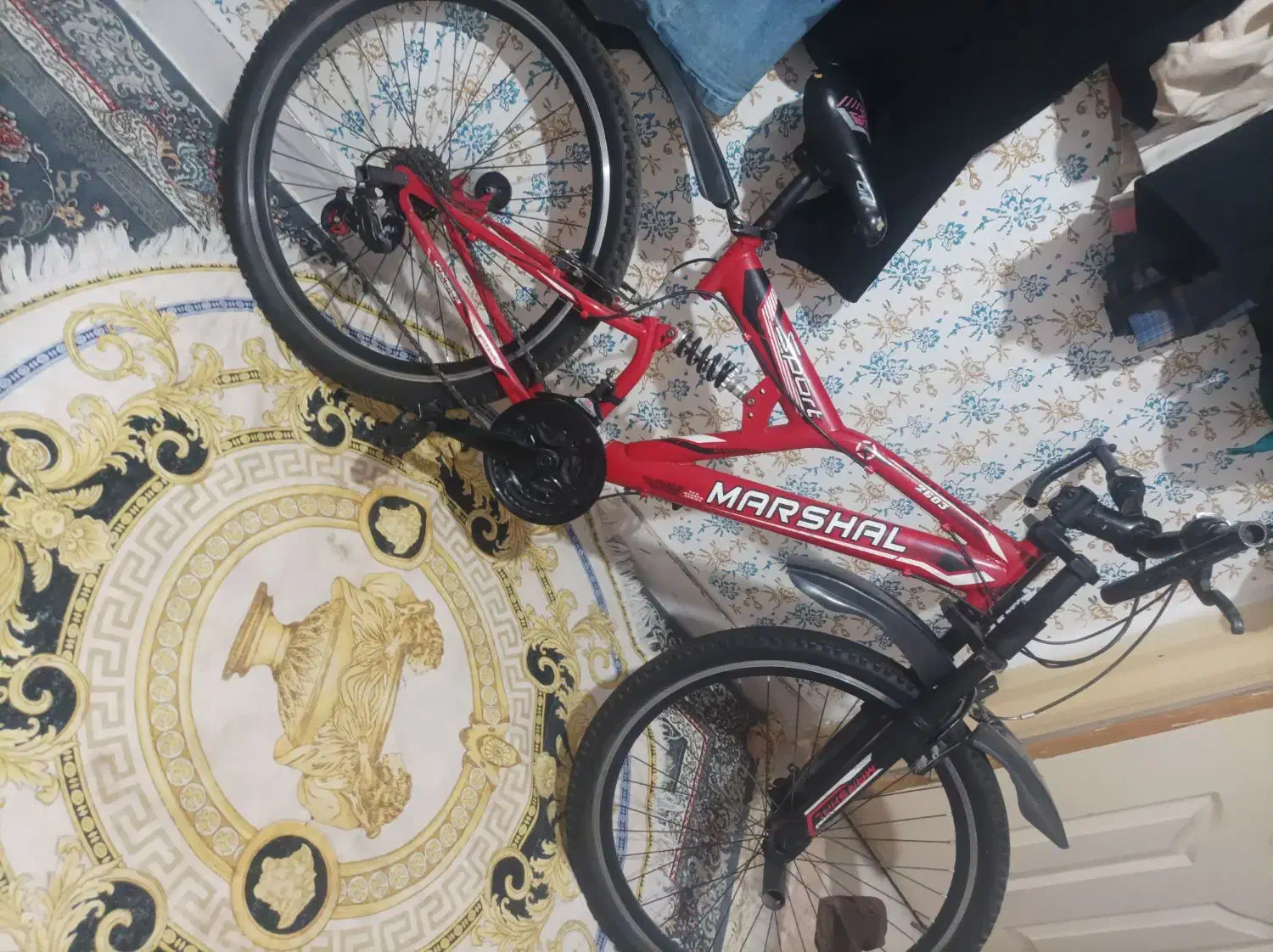 دوچرخه سایز 26|دوچرخه، اسکیت، اسکوتر|قرچک, پویینک|دیوار