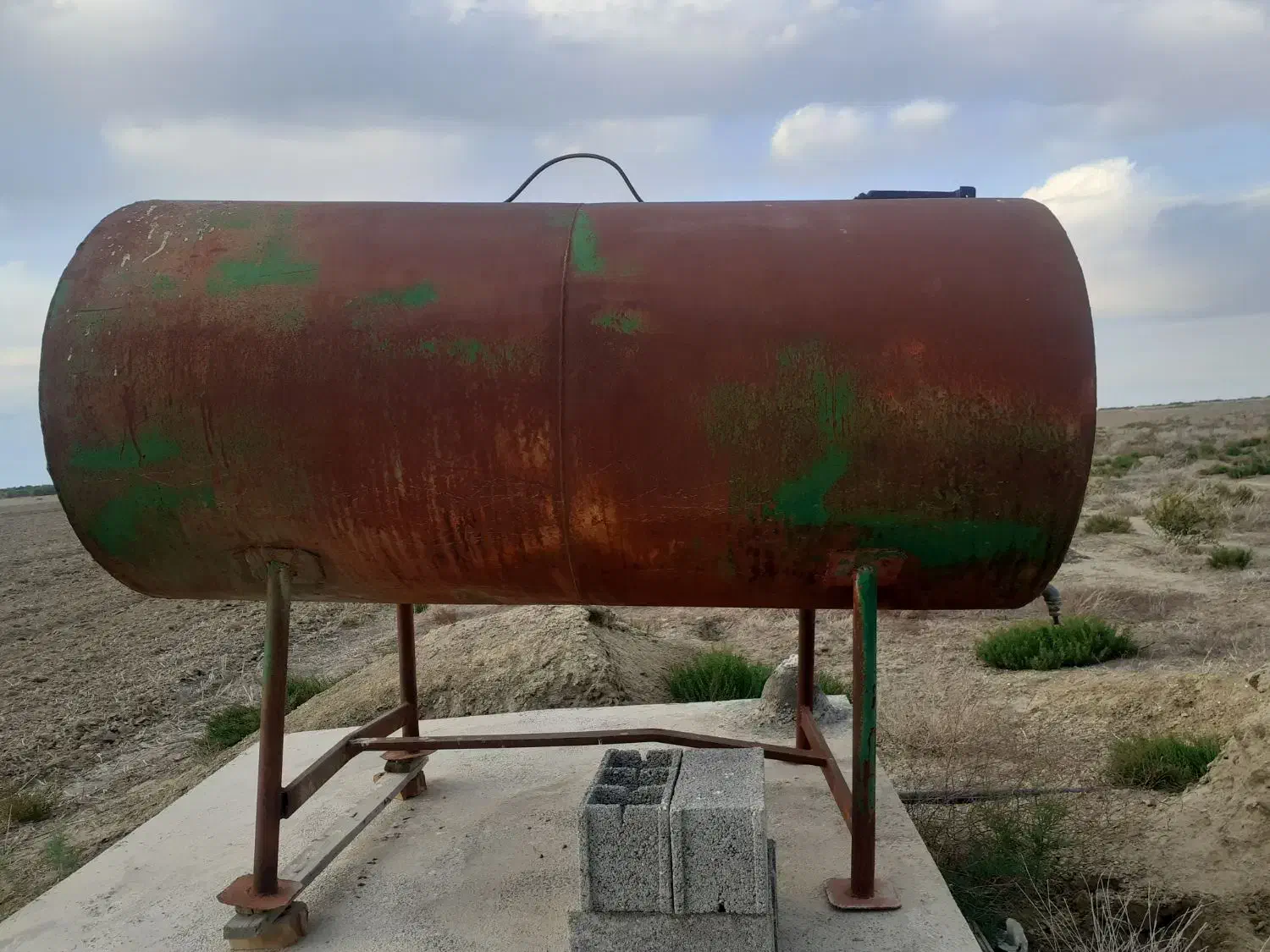 گوسفند و توقلی|حیوانات مزرعه|گمیشان, |دیوار