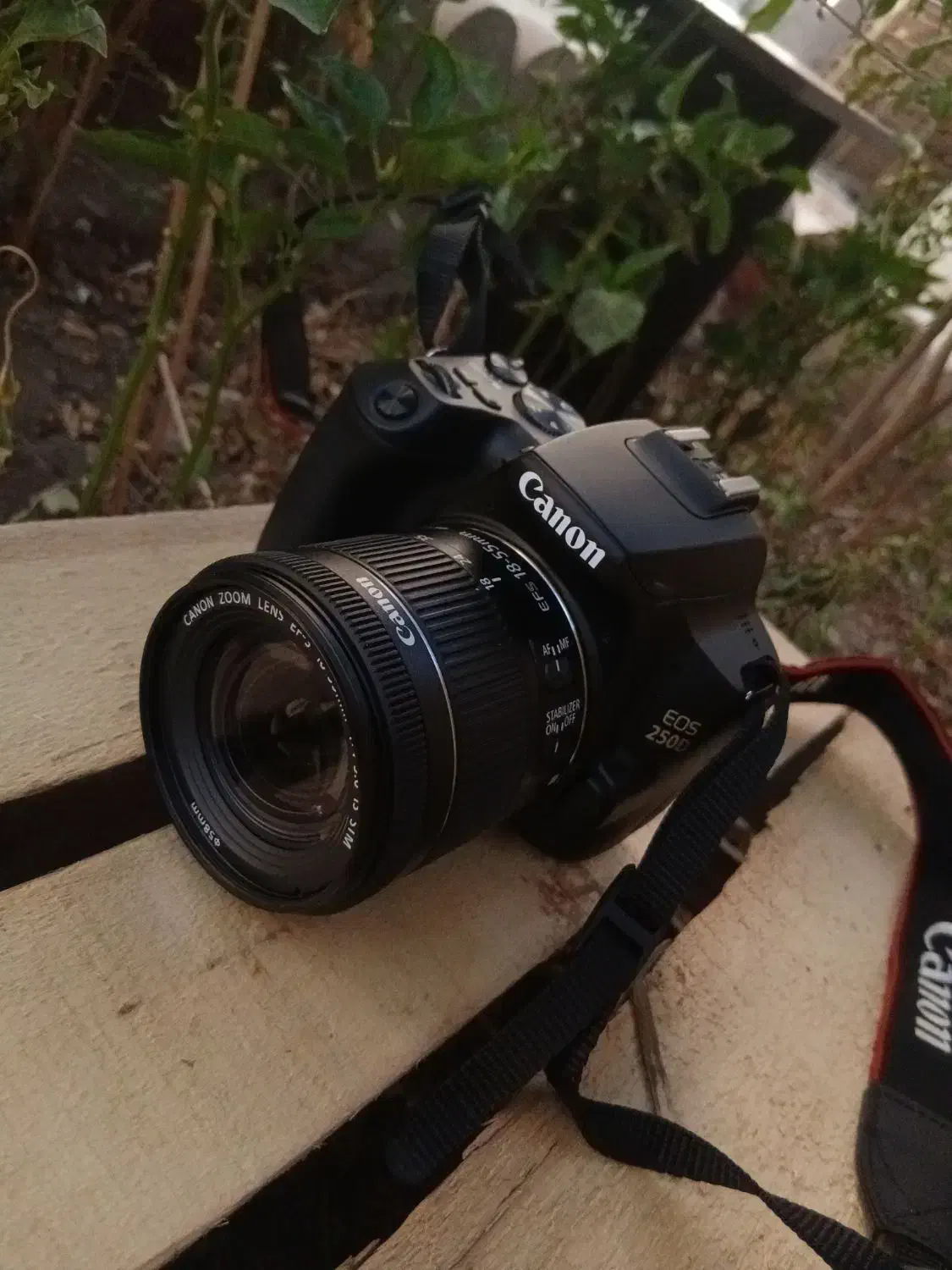 دوربین عکاسی کنون Canon به همراه لنز D250و تجهیزات|دوربین عکاسی و فیلم‌برداری|کرمان, |دیوار