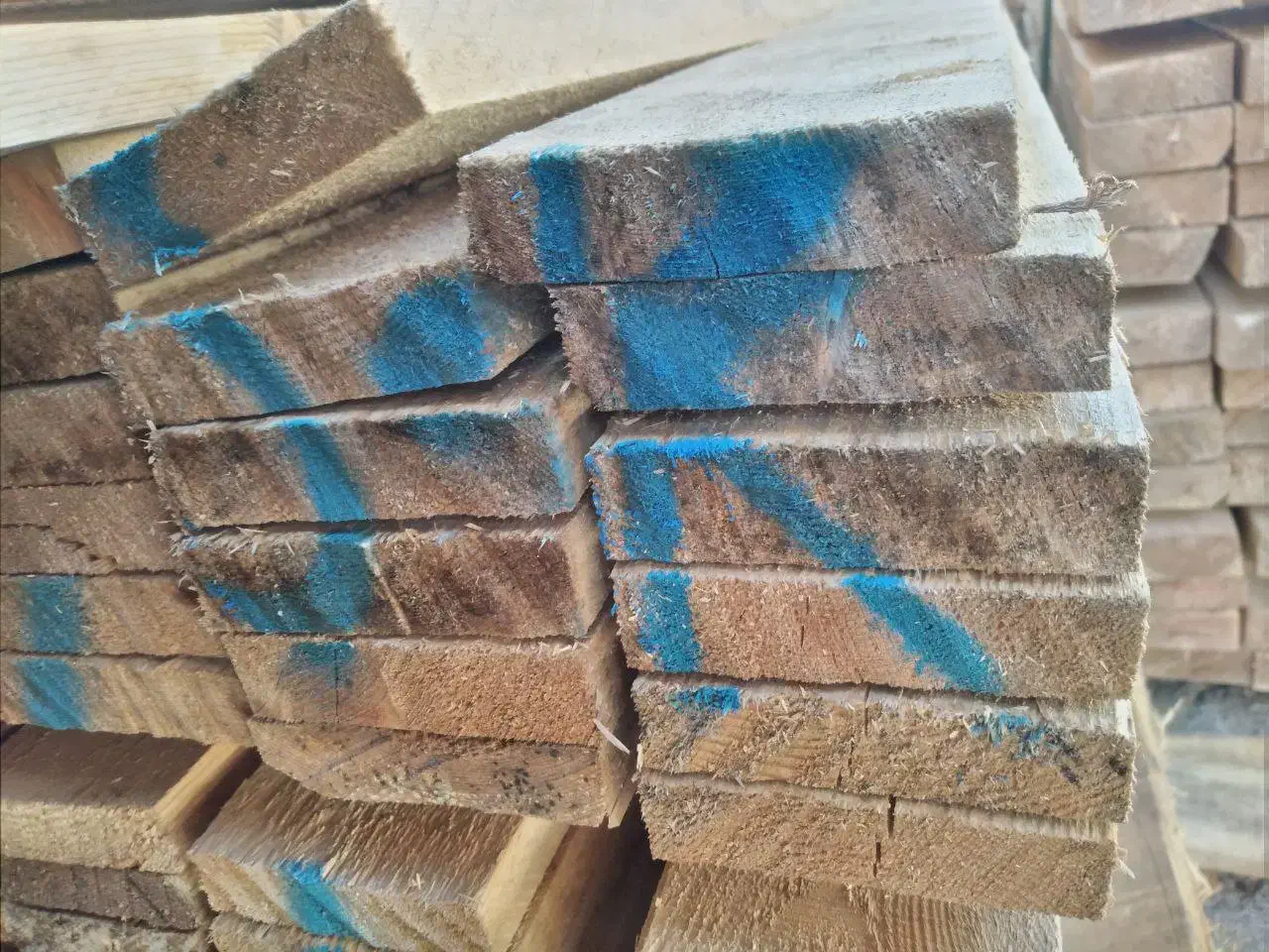 فروش چوب نراد روسی ، رابیتس و... با نازلترین قیمت|مصالح و تجهیزات ساختمان|رشت, کوی یخ|دیوار