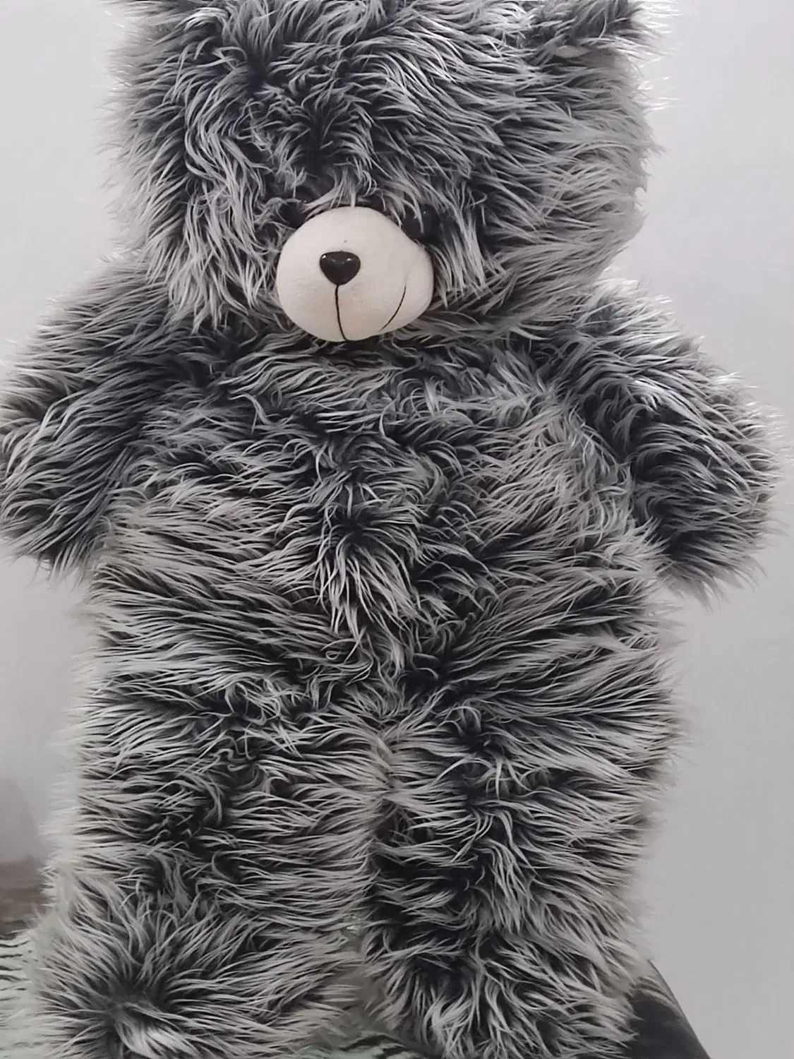 عروسک|اسباببازی|پیشوا, |دیوار