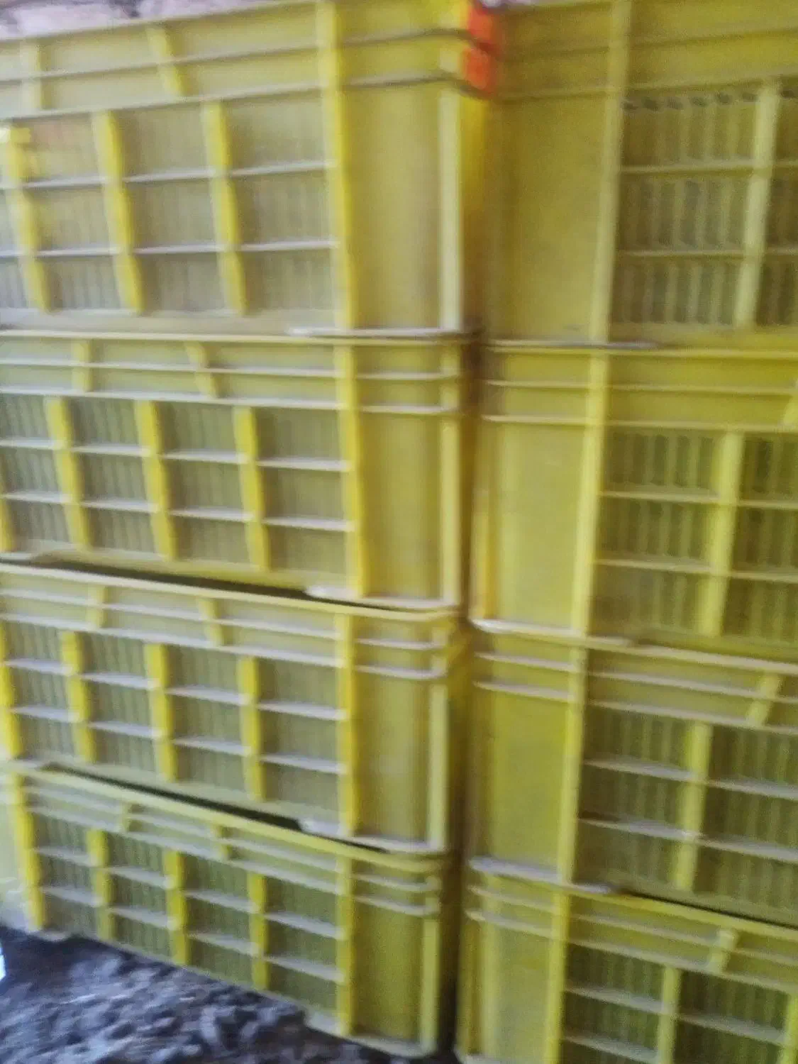 سبد 2 کیلویی|ظروف نگهدارنده، پلاستیکی، یکبارمصرف|انبارآلوم, |دیوار