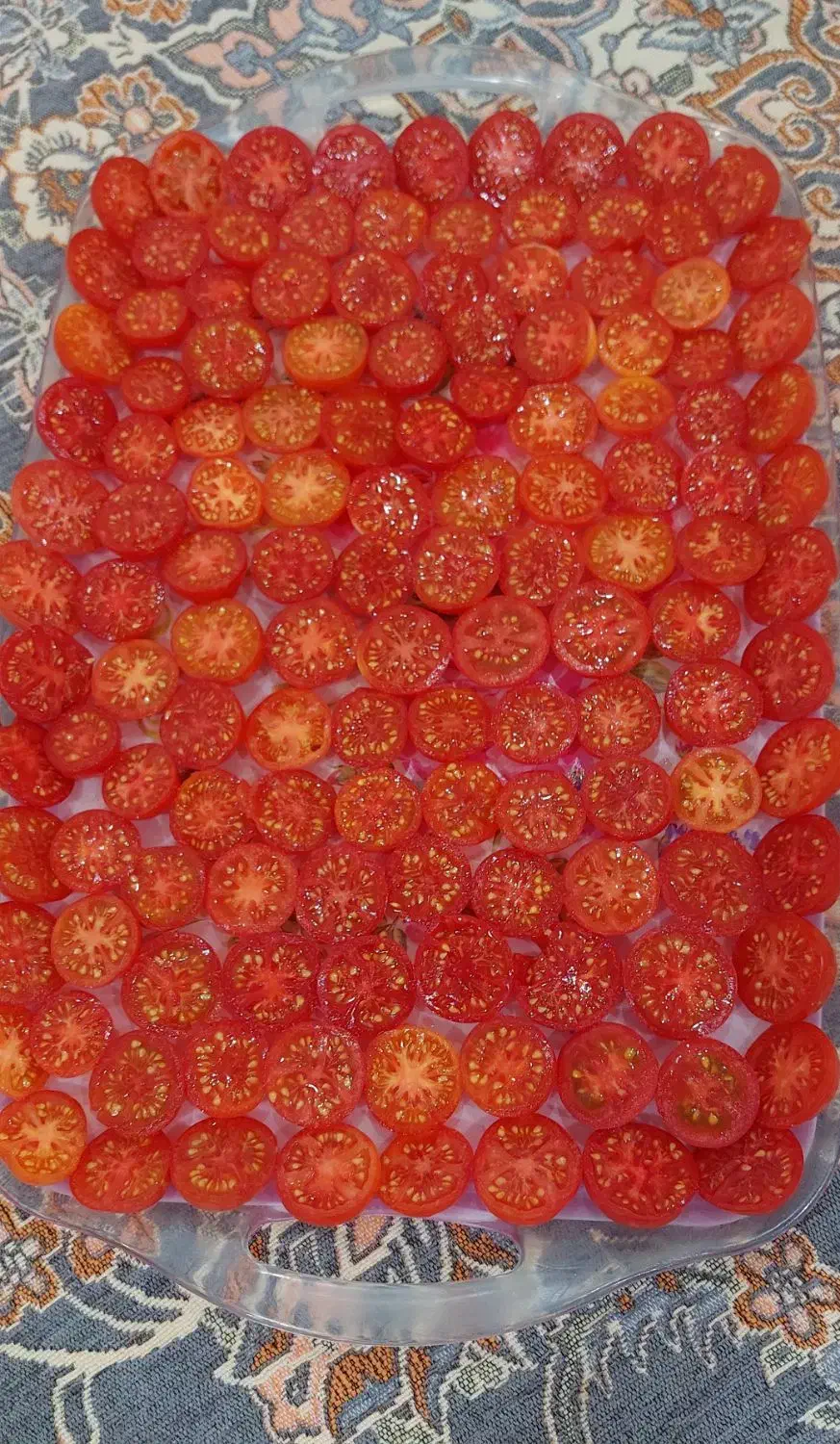 گوجه خشک وخیار شور|حراج|مریوان, |دیوار