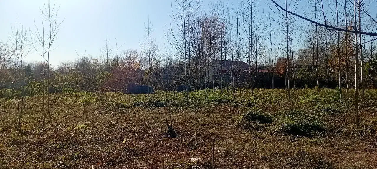 زمین|فروش زمین و ملک کلنگی|سنگر, |دیوار