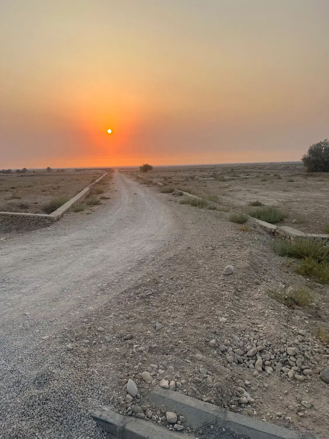 فروش ویژه زمین شهرک|فروش دفتر صنعتی، کشاورزی، تجاری|دلوار, |دیوار