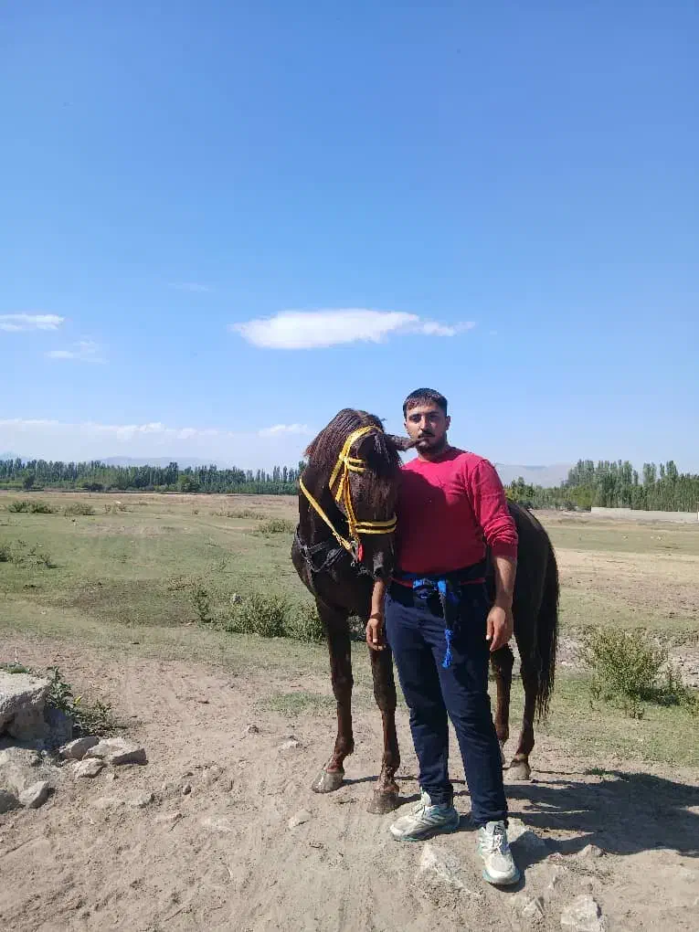 اسب|اسب و تجهیزات اسب‌سواری|خوی, |دیوار