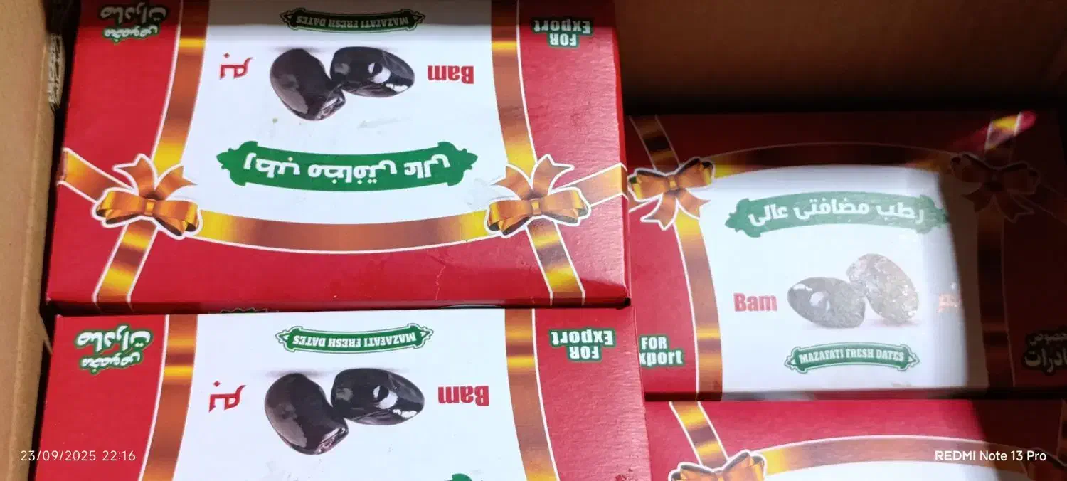 خرمایی درجه یک باغ دشت بم|خوردنی و آشامیدنی|بم, |دیوار