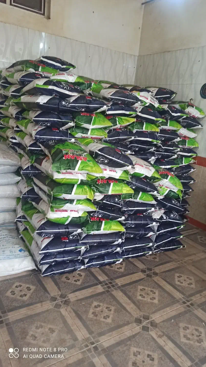 کودهای شیمیایی برای چالکود پاییزه باغات و درختان|خدمات باغبانی و درختکاری|مرند, |دیوار