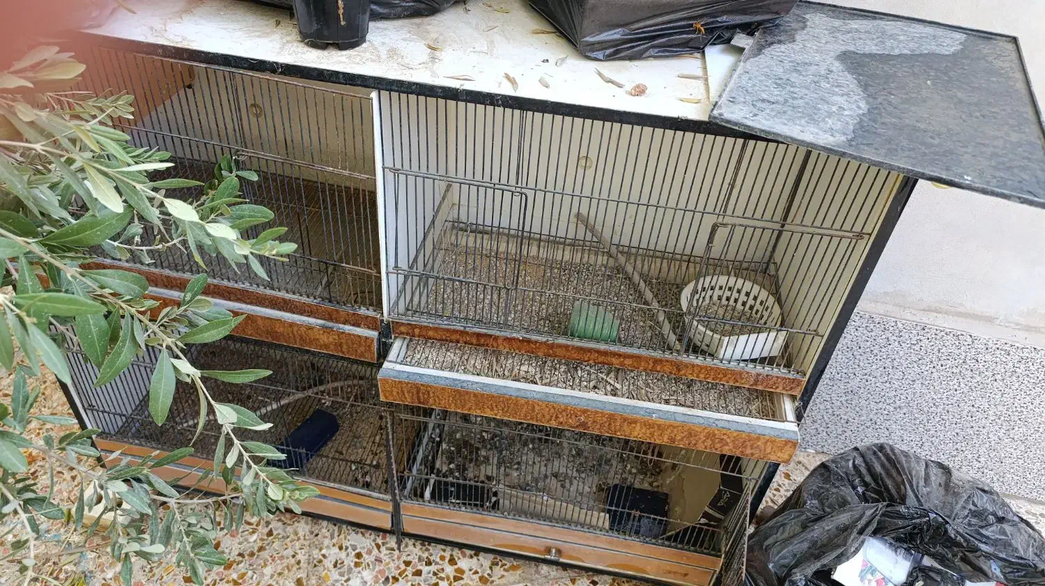 قفس مخصوص کبوتر|لوازم جانبی حیوانات|لار, |دیوار