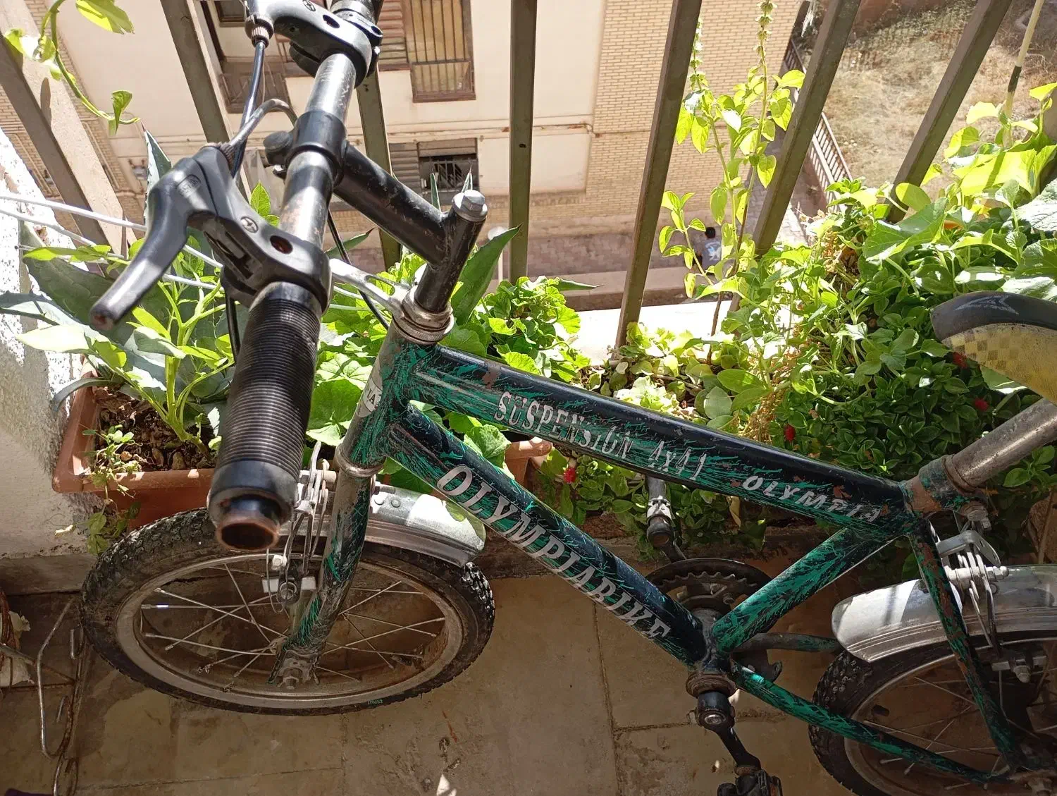 دوچرخه سایز ۱۹|دوچرخه، اسکیت، اسکوتر|پردیس, فاز ۳|دیوار