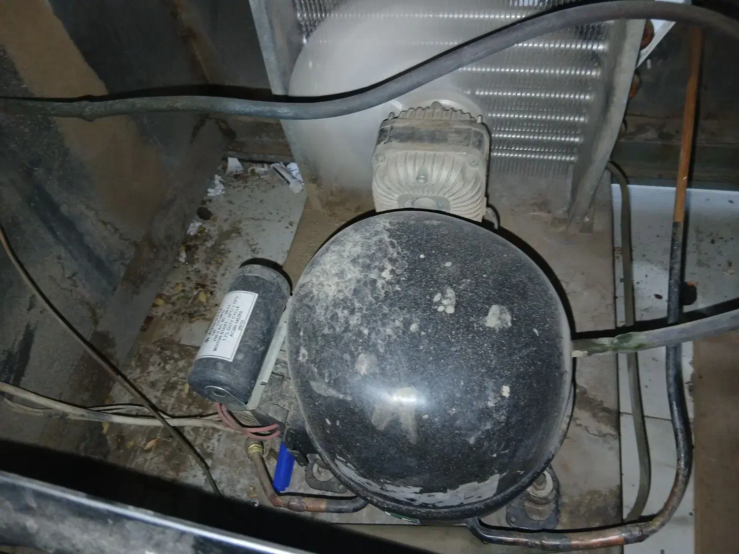 یخچال و فریزر|یخچال و فریزر|نرماشیر, |دیوار