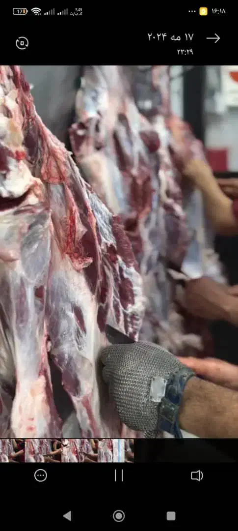ویزتور بابت گوشت ومرغ باموتور  نیازمیدیم|استخدام بازاریابی و فروش|تهران, امامت|دیوار