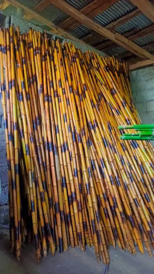 نی خیزران،بامبو|صنایع دستی و سایر لوازم تزئینی|رشت, آتشگاه|دیوار