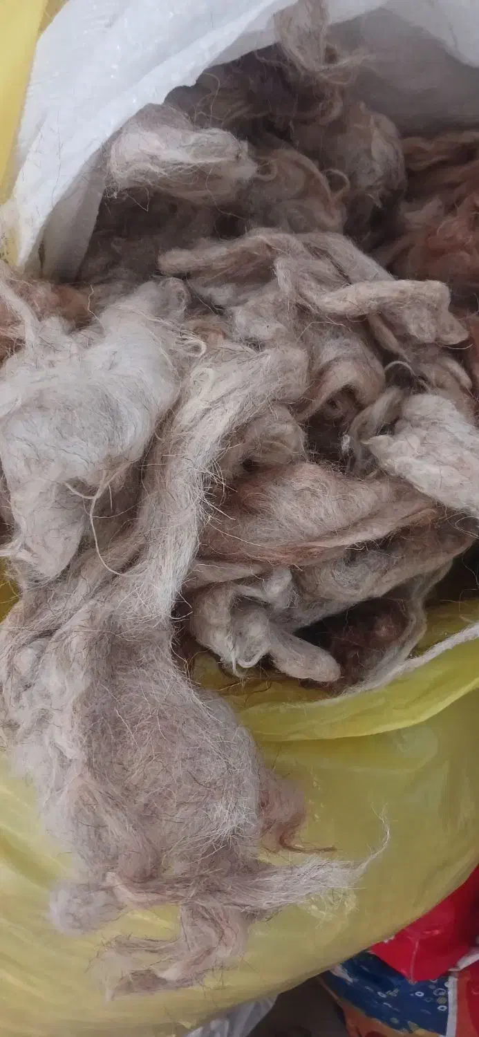 پشم گوسفندی|پشتی|تبریز, |دیوار